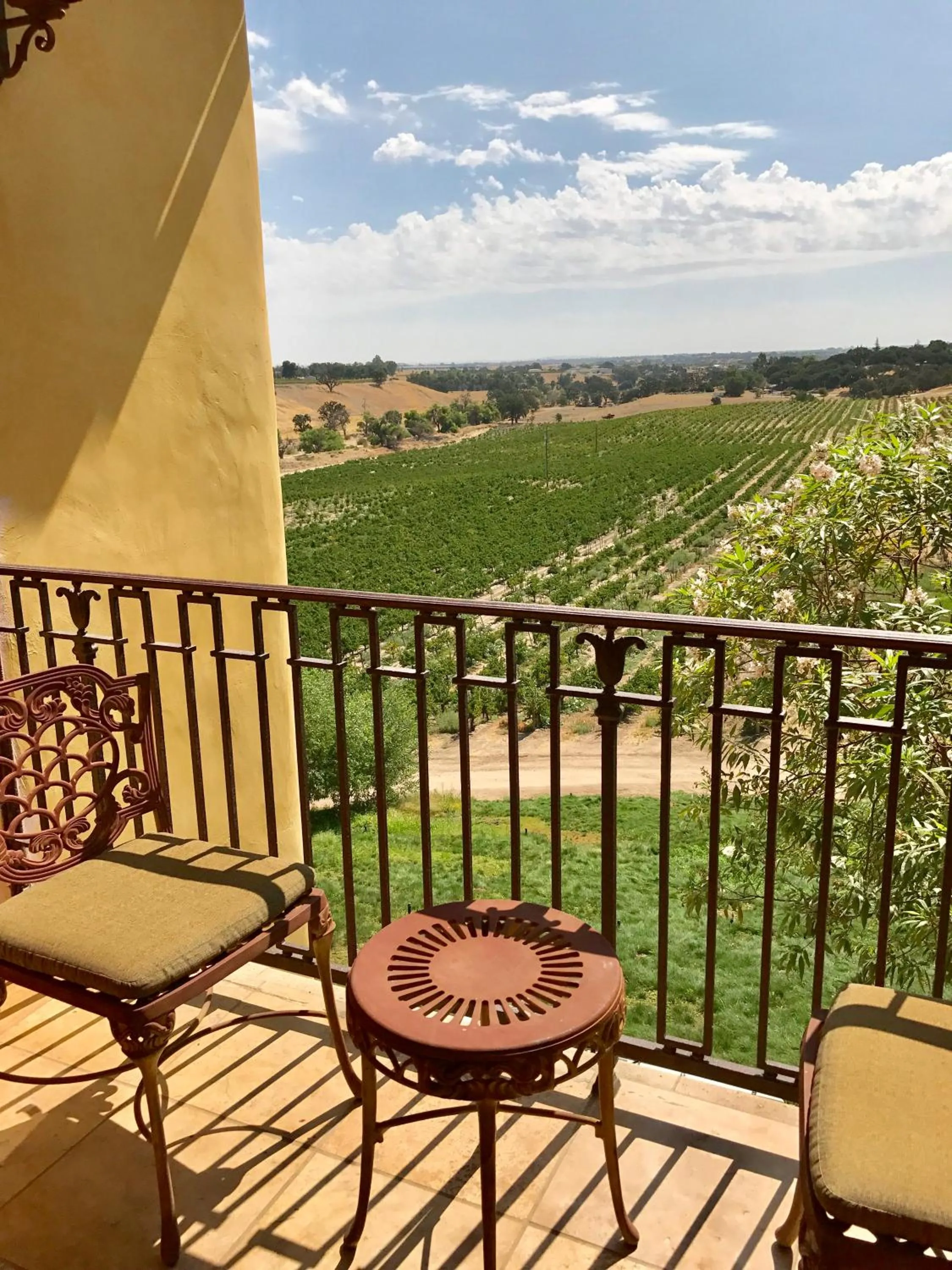 CaliPaso Winery & Villa
