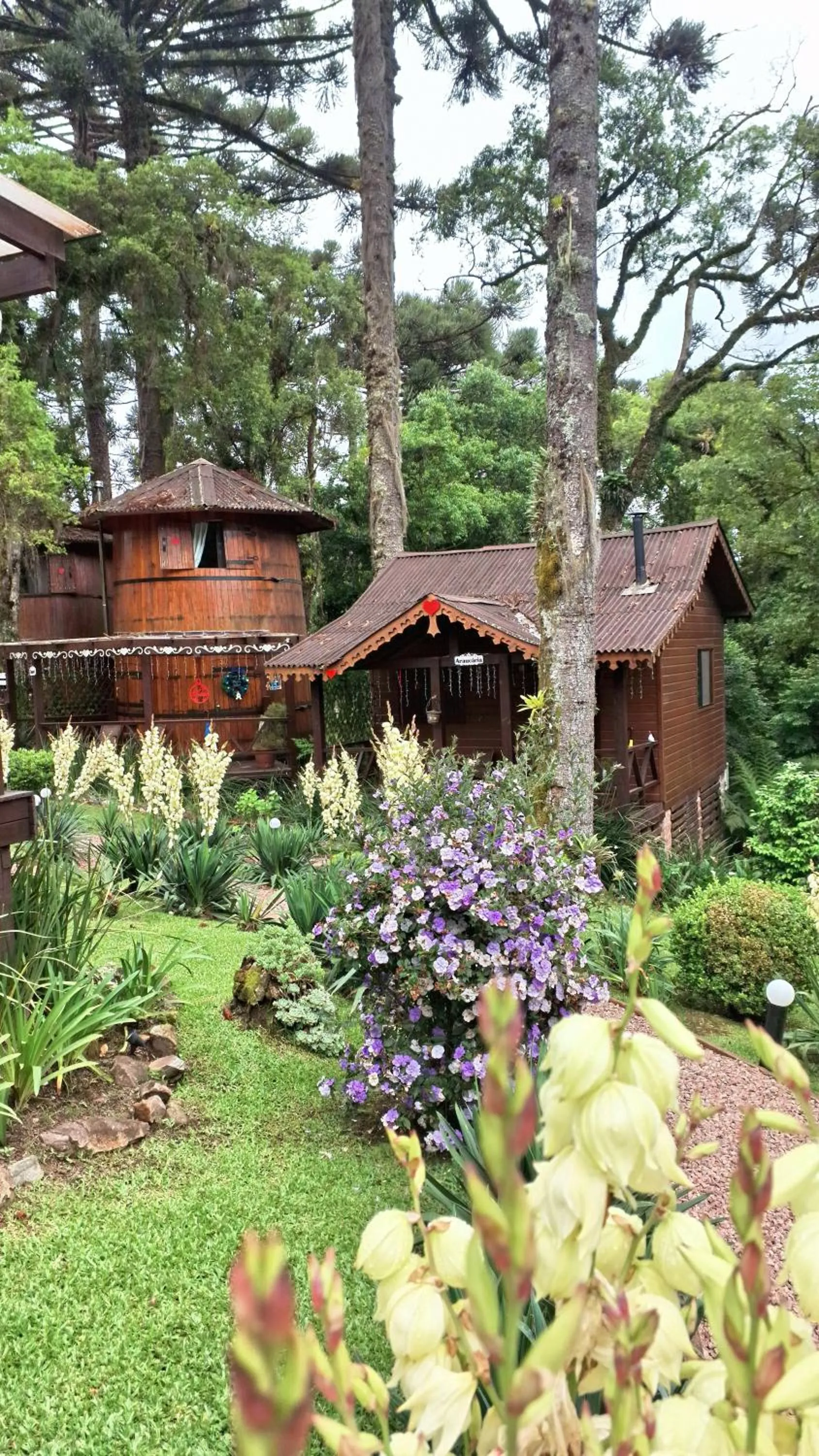 Garden view in Chalé Temático em Pipa de Vinho - Parada da Pipa Chalés
