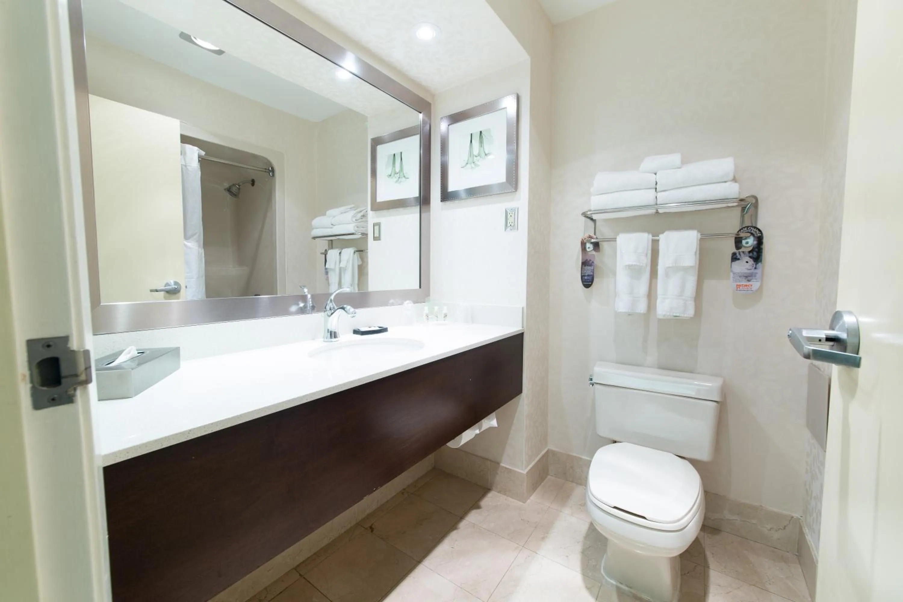 Bathroom in Holiday Inn Windsor - Ambassador Bridge by IHG