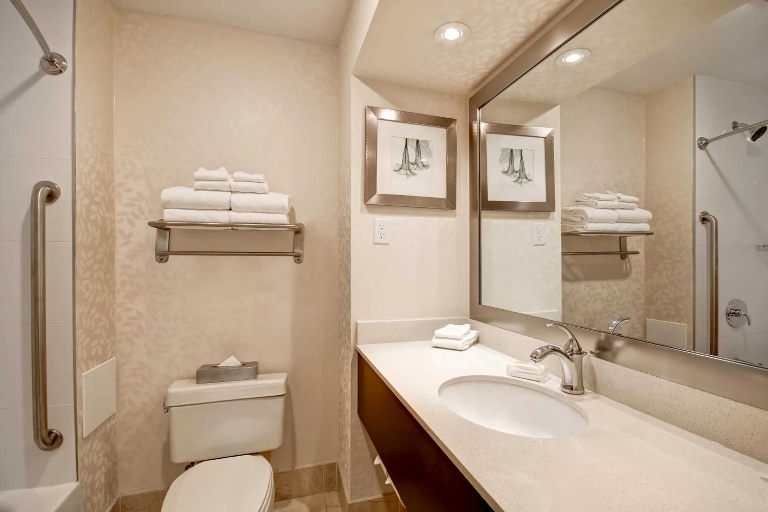 Bathroom in Holiday Inn Windsor - Ambassador Bridge by IHG