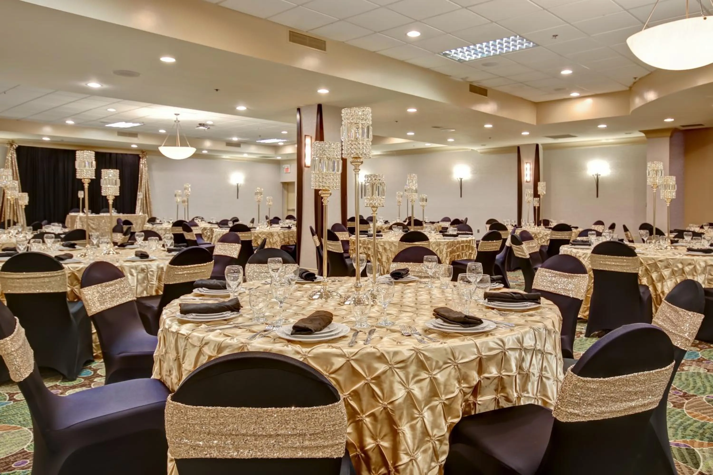 Banquet/Function facilities in Holiday Inn Windsor - Ambassador Bridge by IHG
