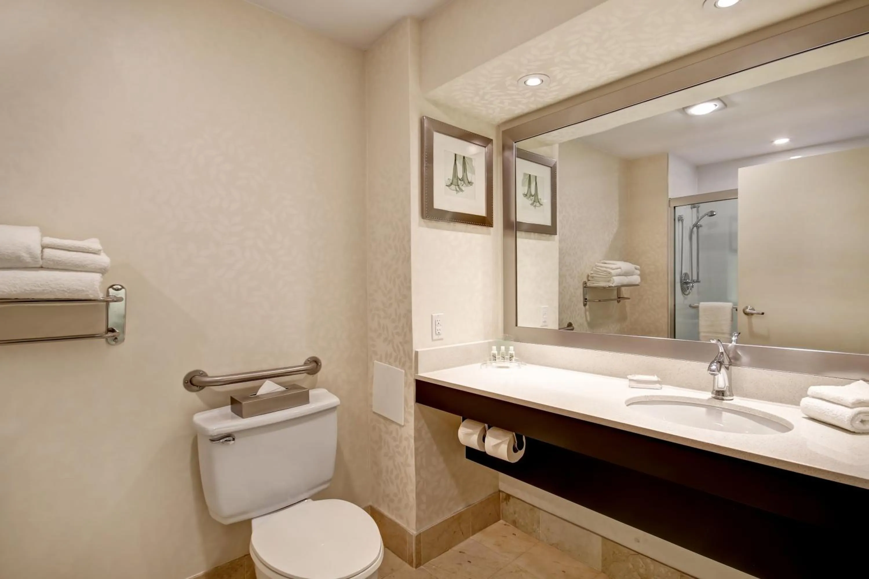 Bathroom in Holiday Inn Windsor - Ambassador Bridge by IHG