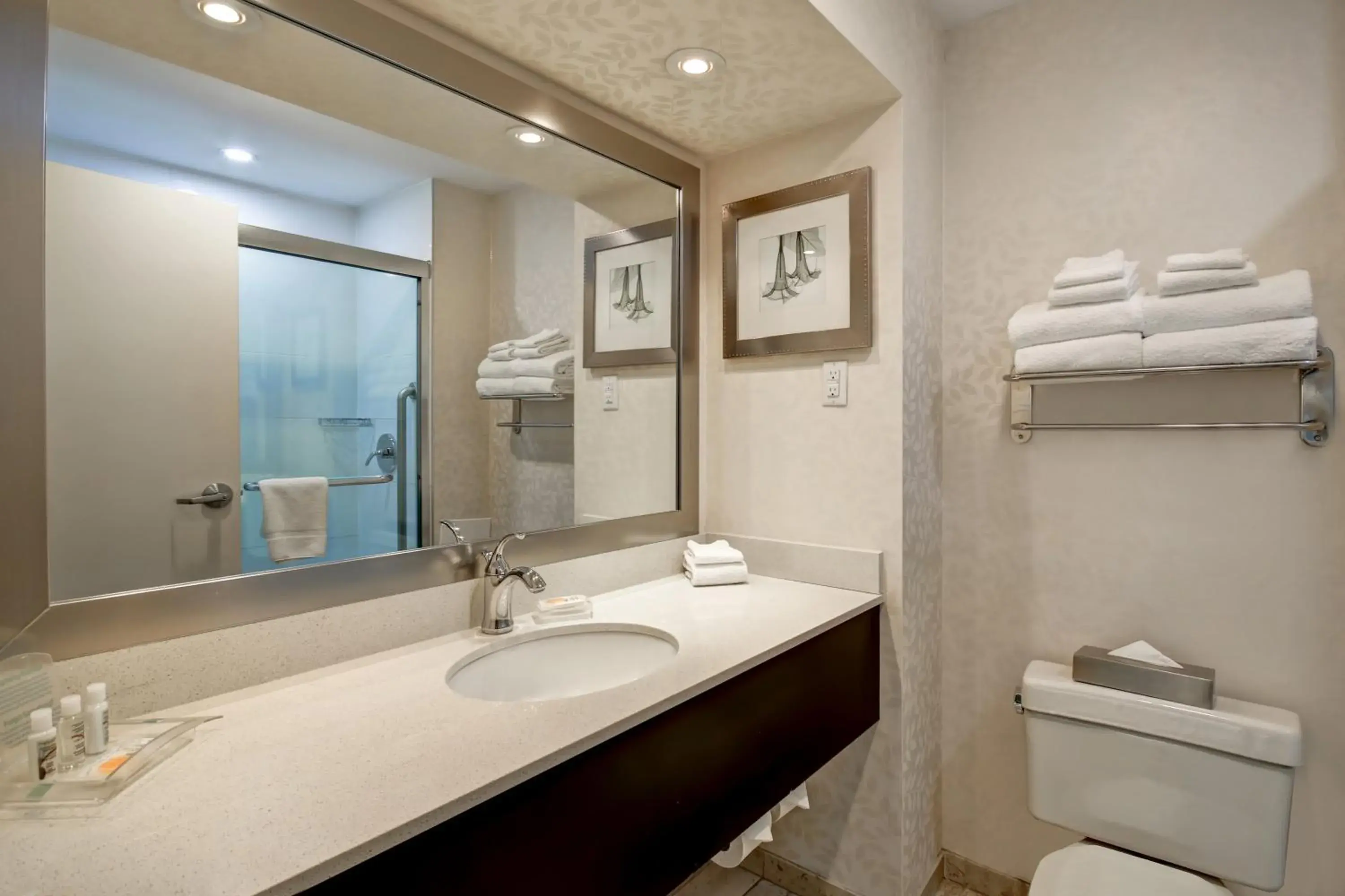 Bathroom in Holiday Inn Windsor - Ambassador Bridge by IHG Bathroom in Holiday Inn Windsor - Ambassador Bridge by IHG