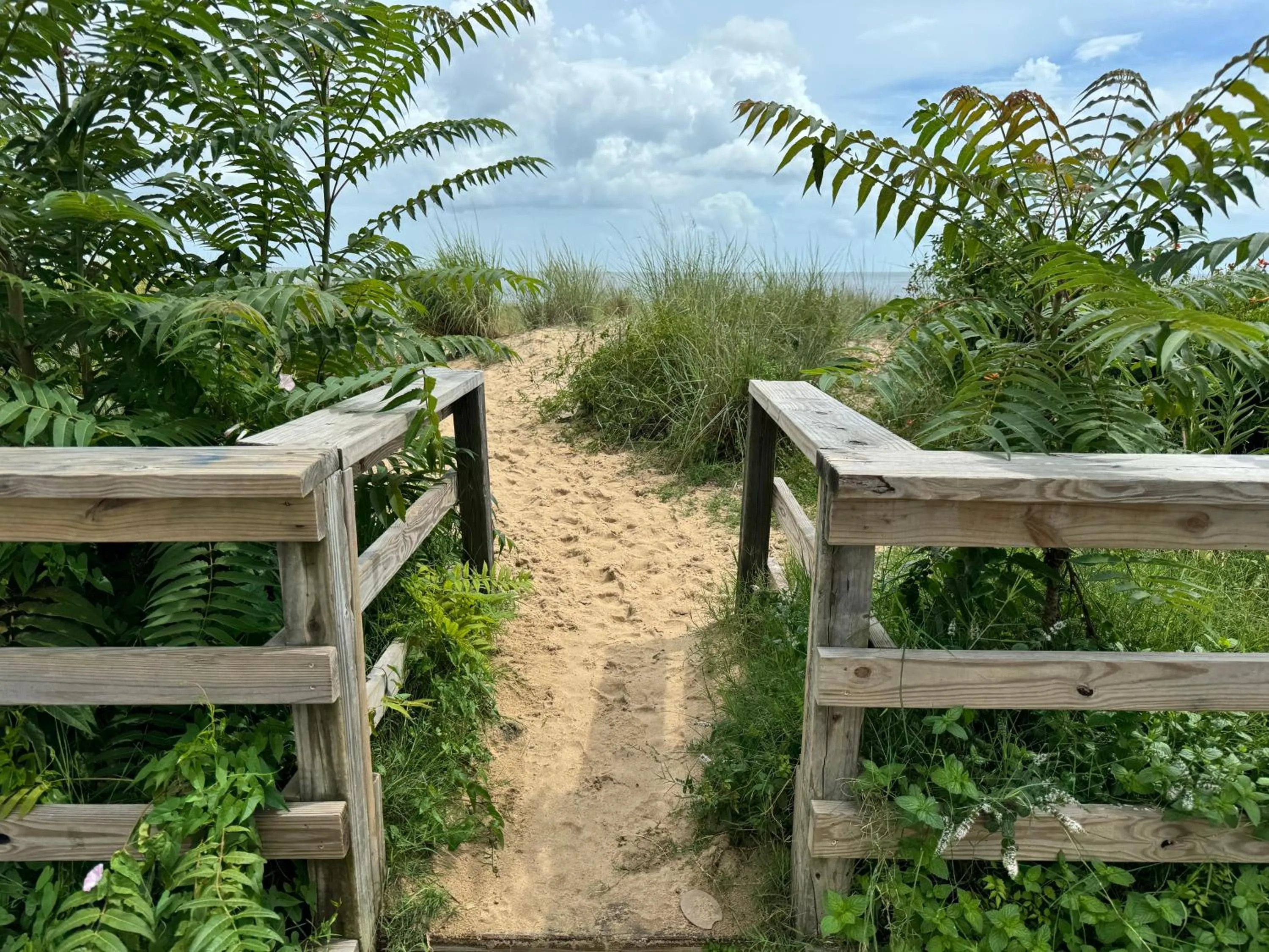 Beach in Ocean View Inn