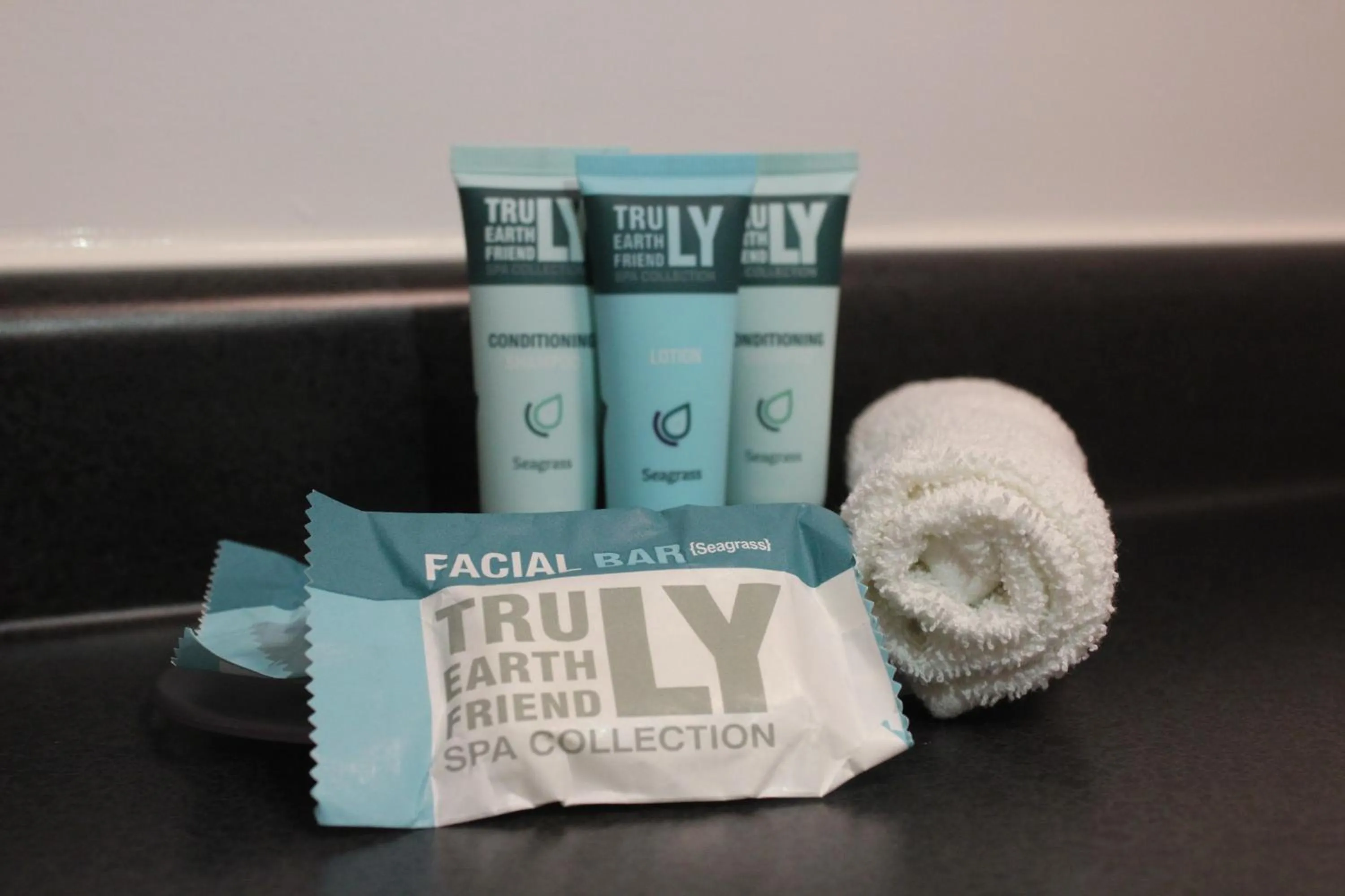 Bathroom in Residence & Conference Centre - Niagara-on-the-Lake