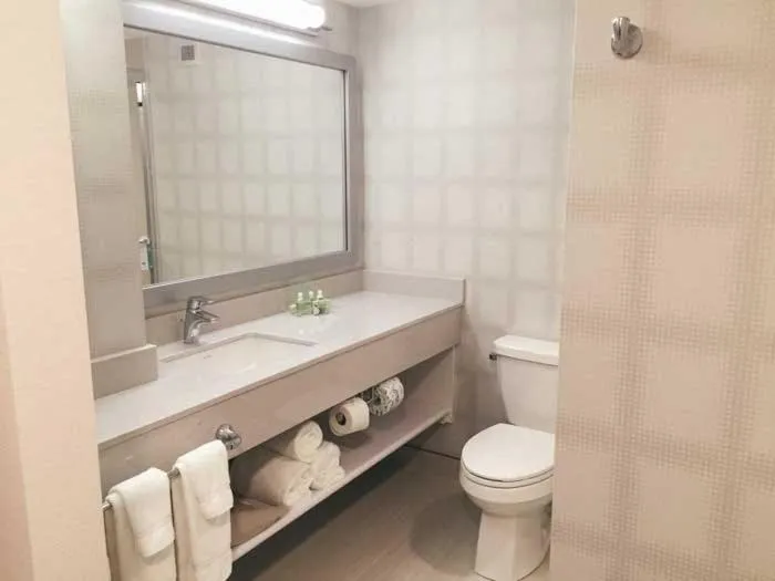 Bathroom in Holiday Inn Winnipeg - Airport West, an IHG Hotel