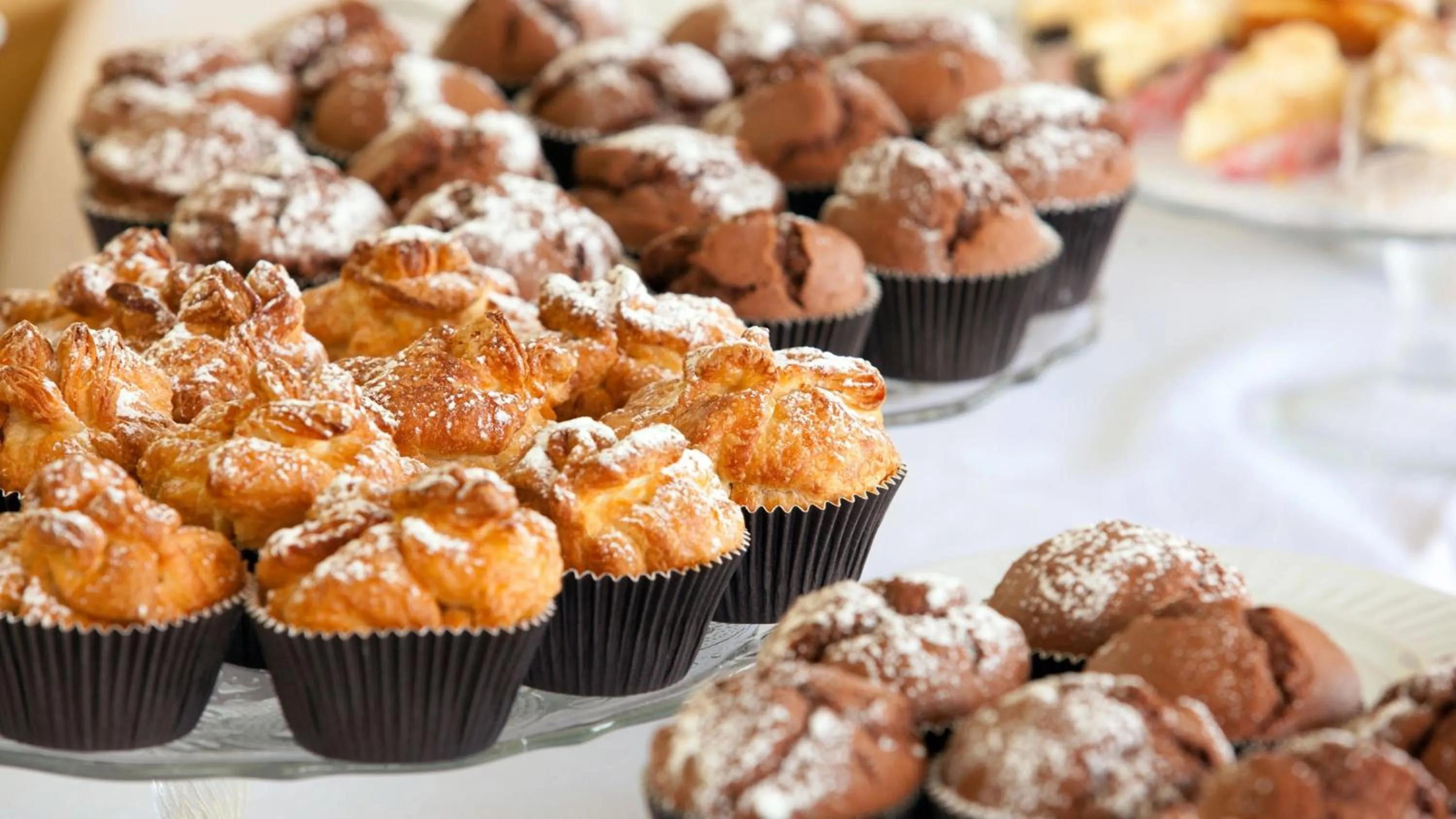 Meeting/conference room in Holiday Inn & Suites Winnipeg Downtown by IHG