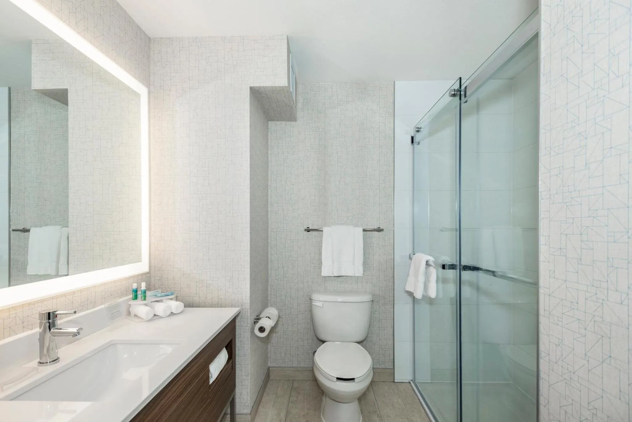 Bathroom in Holiday Inn Express & Suites Medicine Hat by IHG
