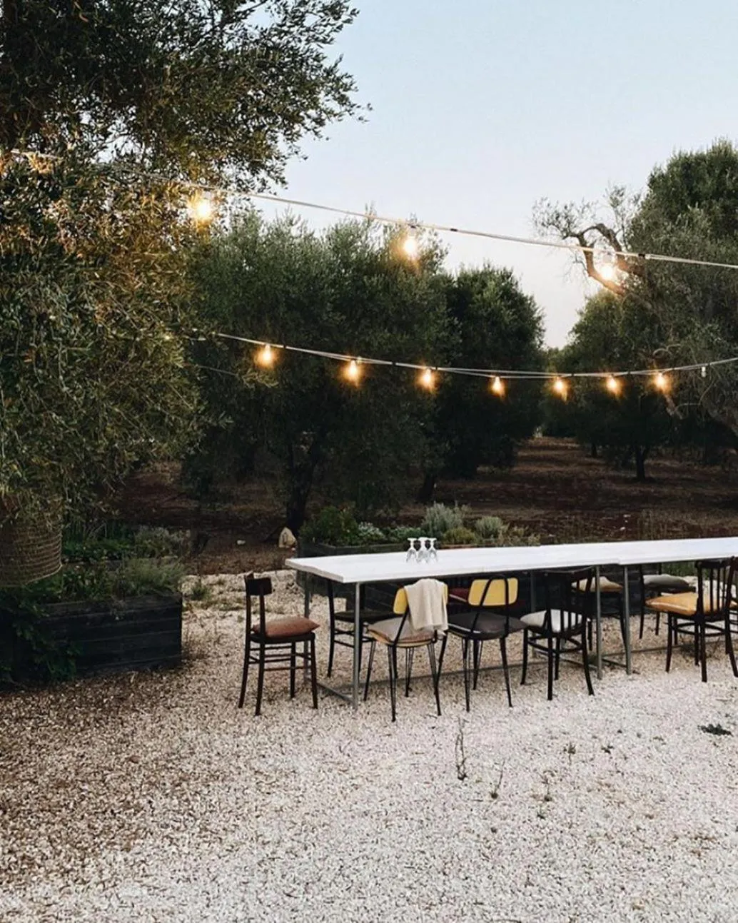 Fikus - the Apulian B&B