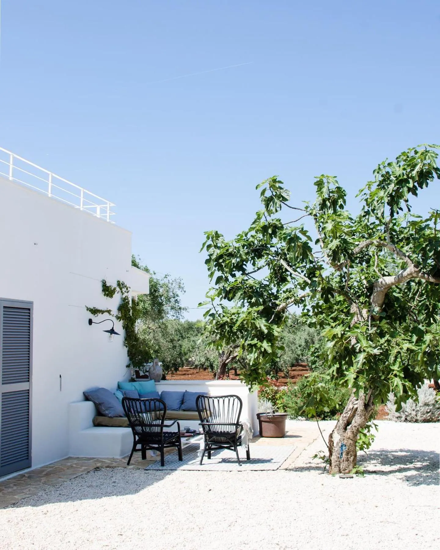 Fikus - the Apulian B&B
