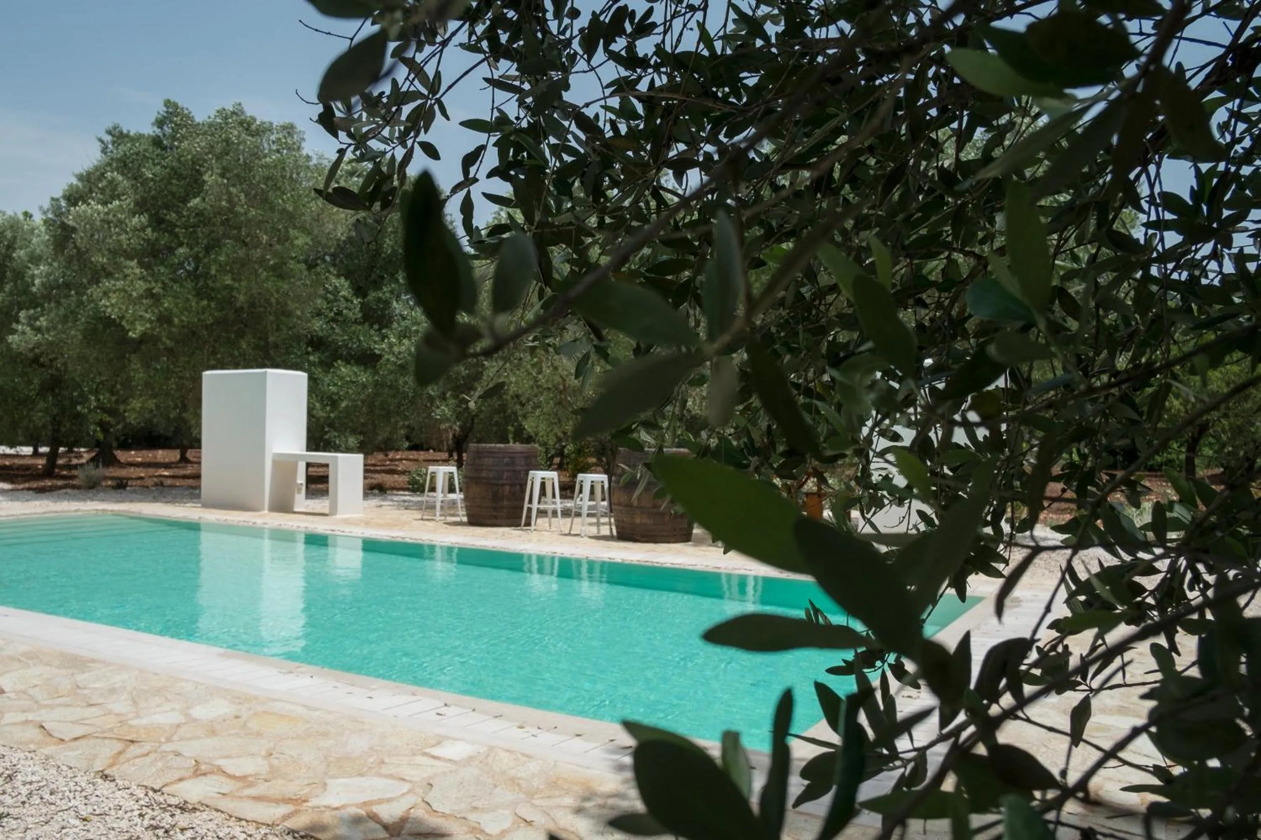 Pool view in Fikus - the Apulian B&B