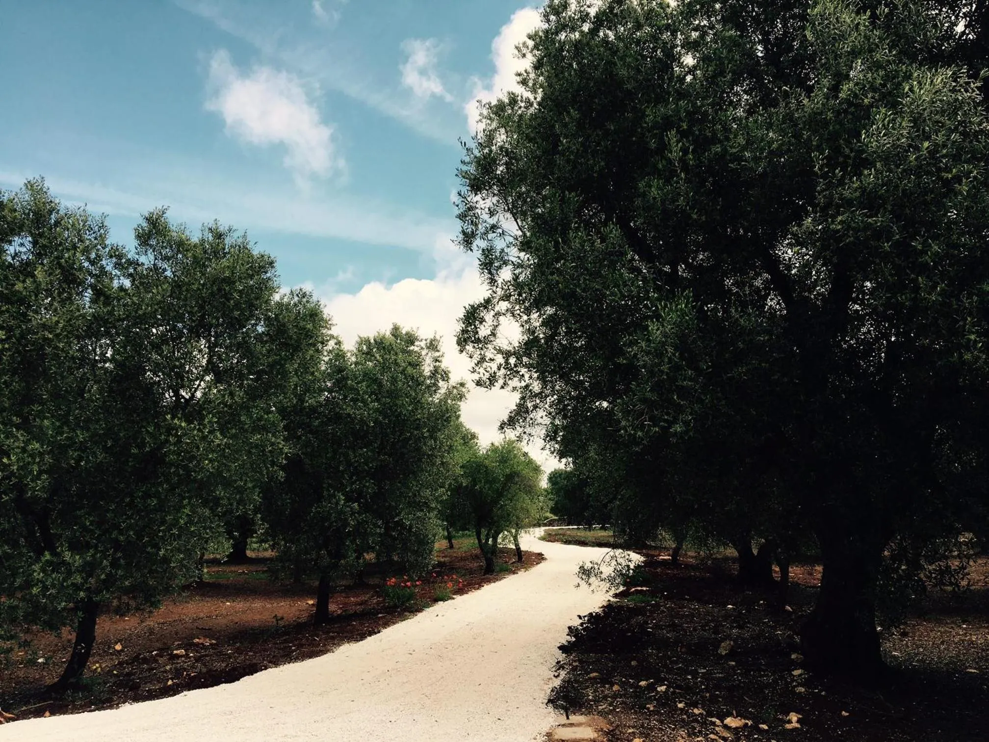 Facade/entrance in Fikus - the Apulian B&B