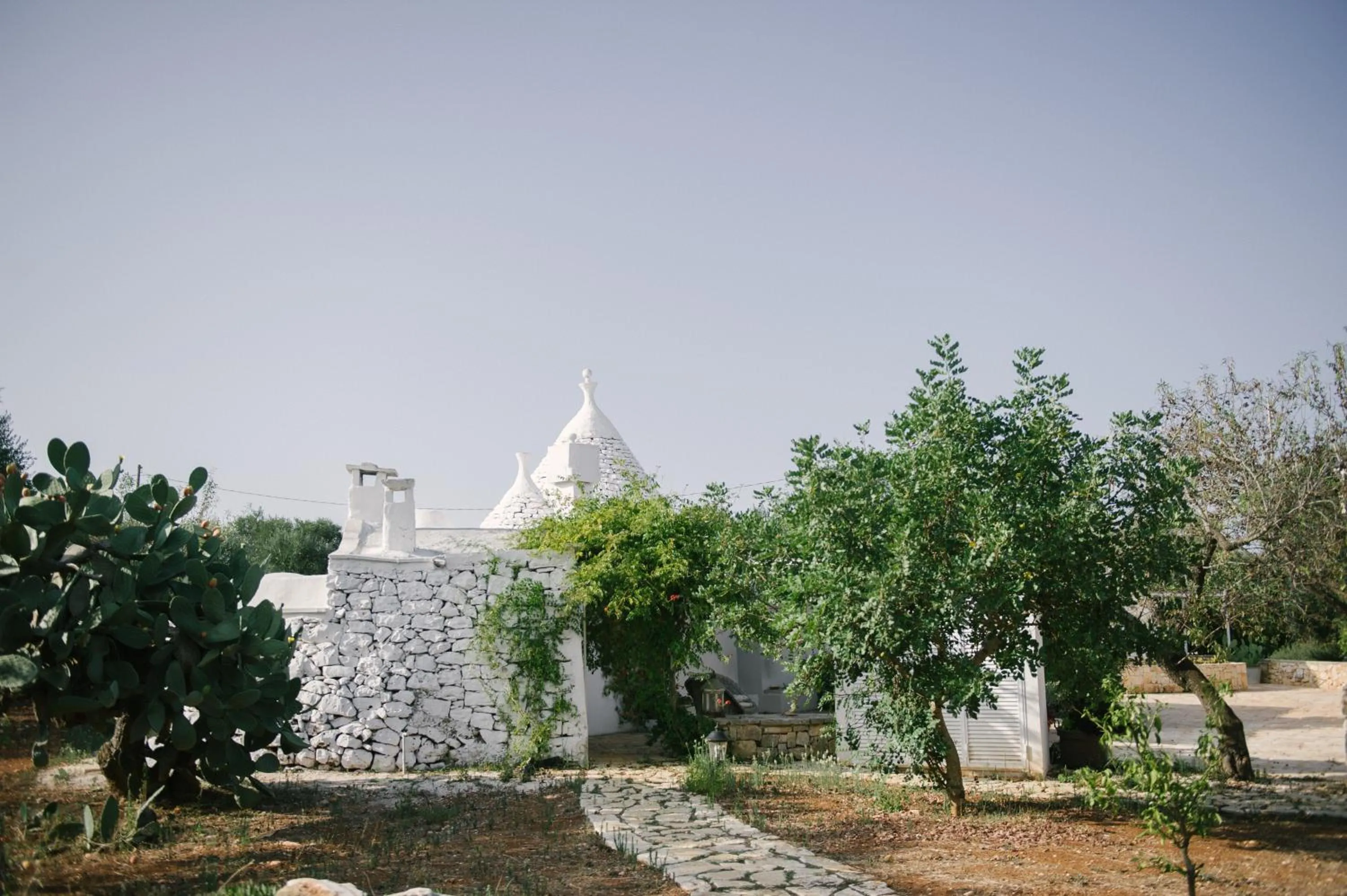 Fikus - the Apulian B&B