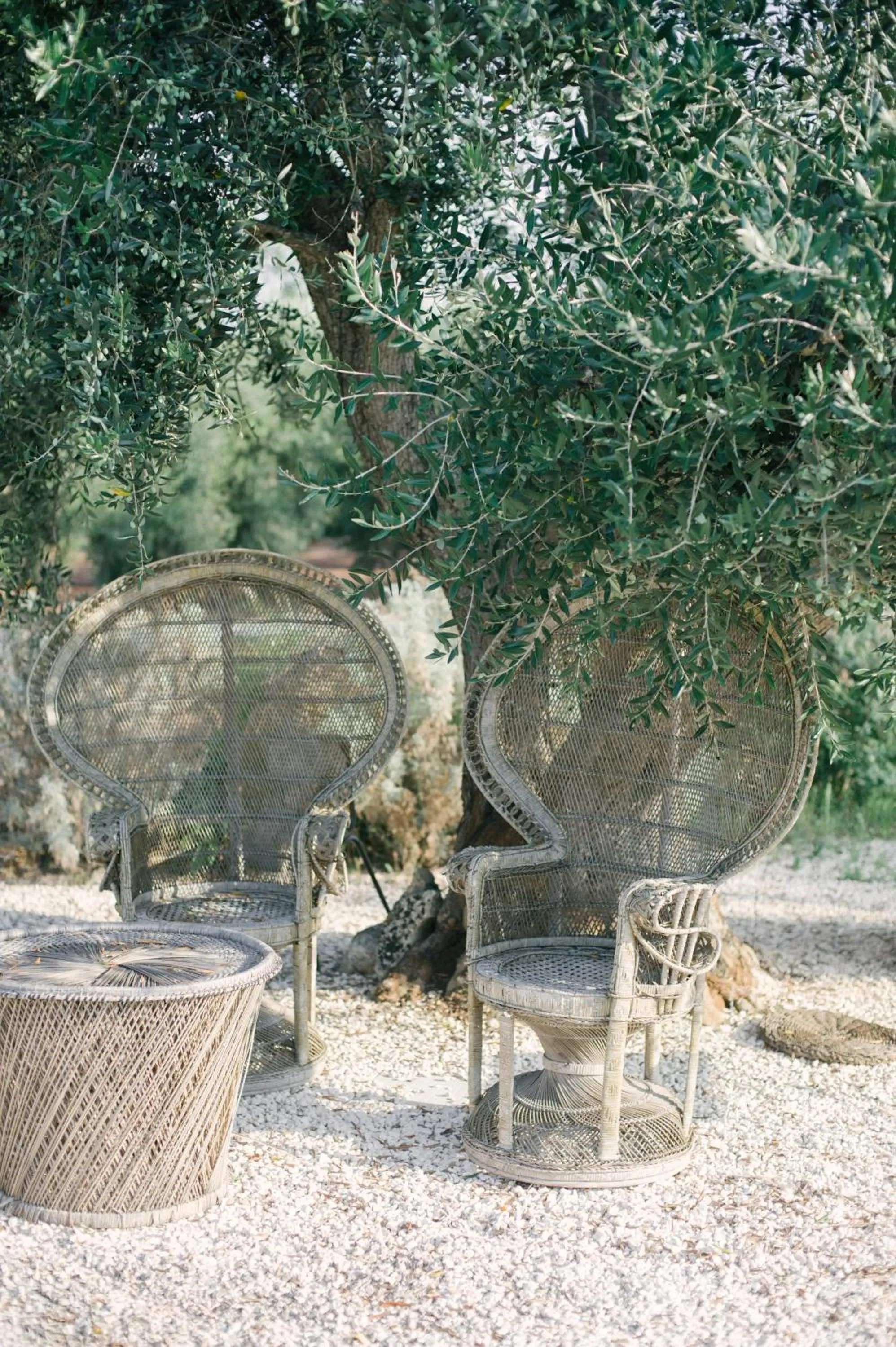 Fikus - the Apulian B&B