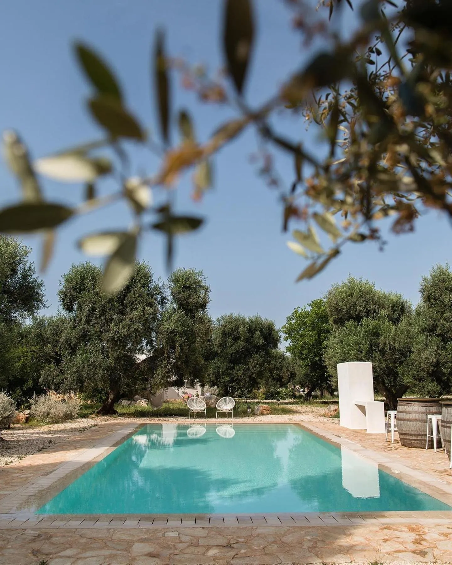Fikus - the Apulian B&B