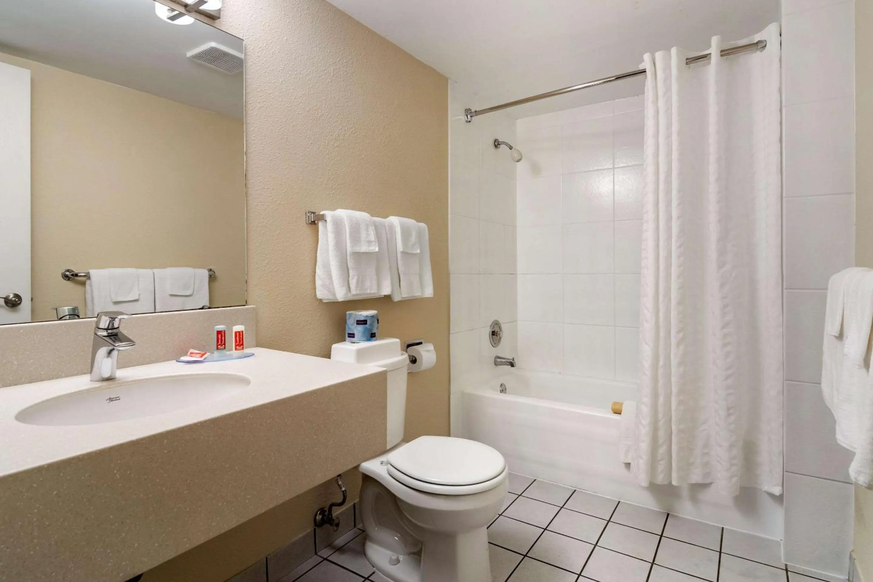 Bathroom in Econo Lodge Inn & Suites
