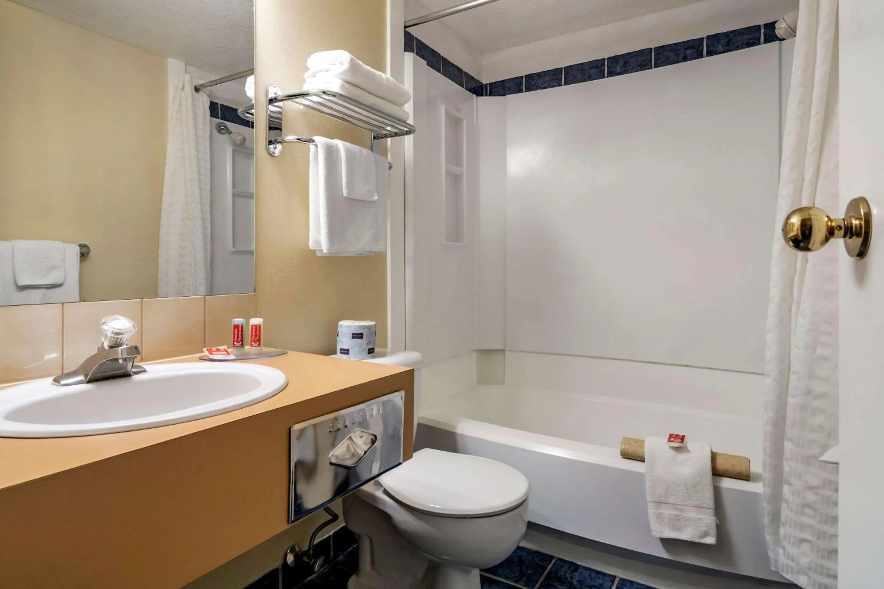 Bathroom in Econo Lodge Inn & Suites