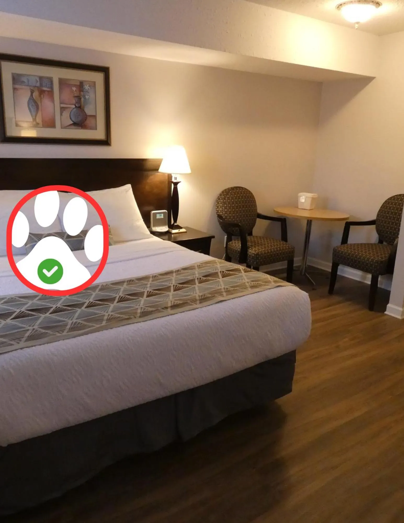 Standard 1 Queen with Kitchenette (Pet Friendly) in Dilworth Inn Kelowna