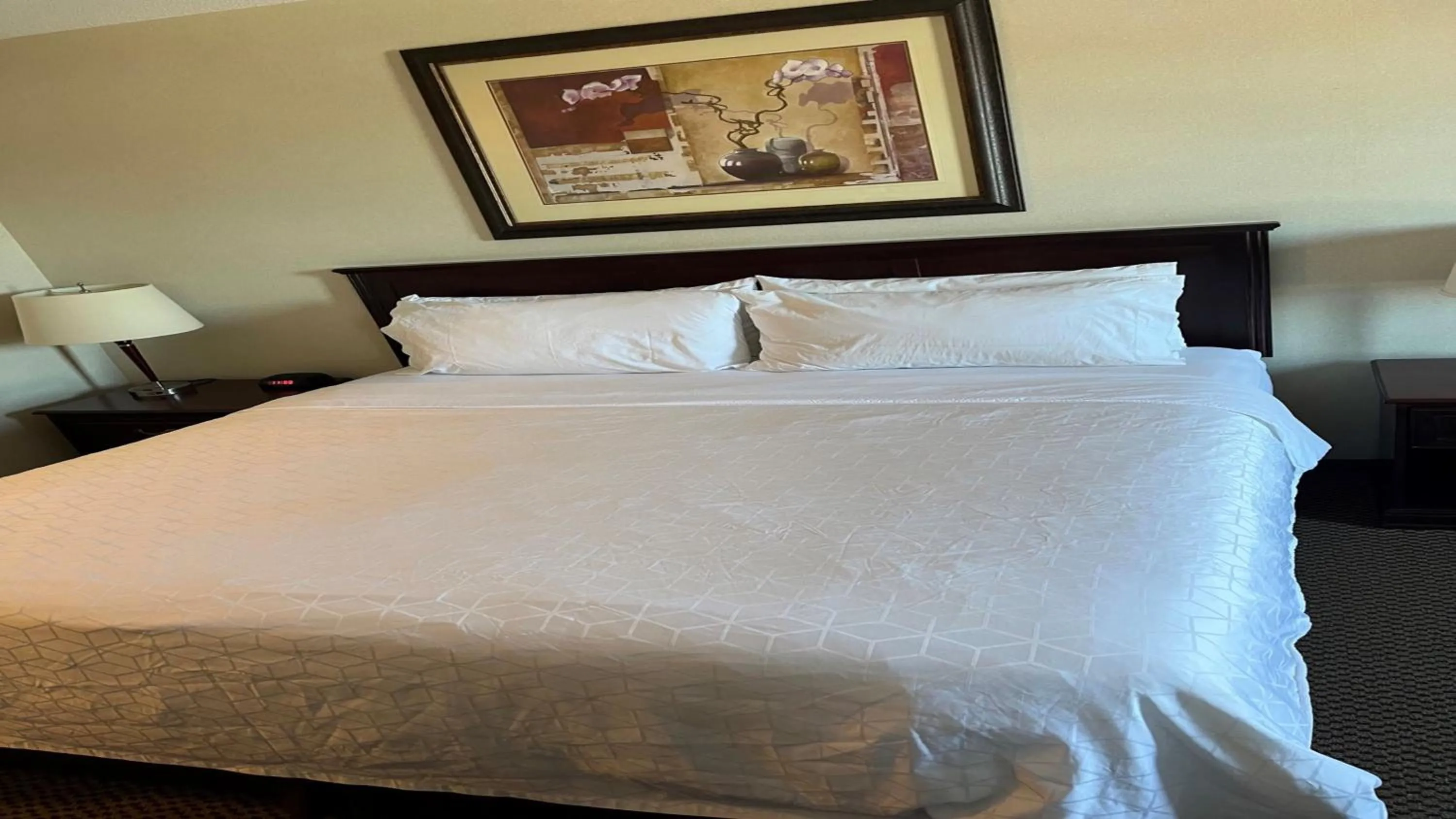 Photo of the whole room, Bed in Holiday Inn & Suites Lloydminster by IHG