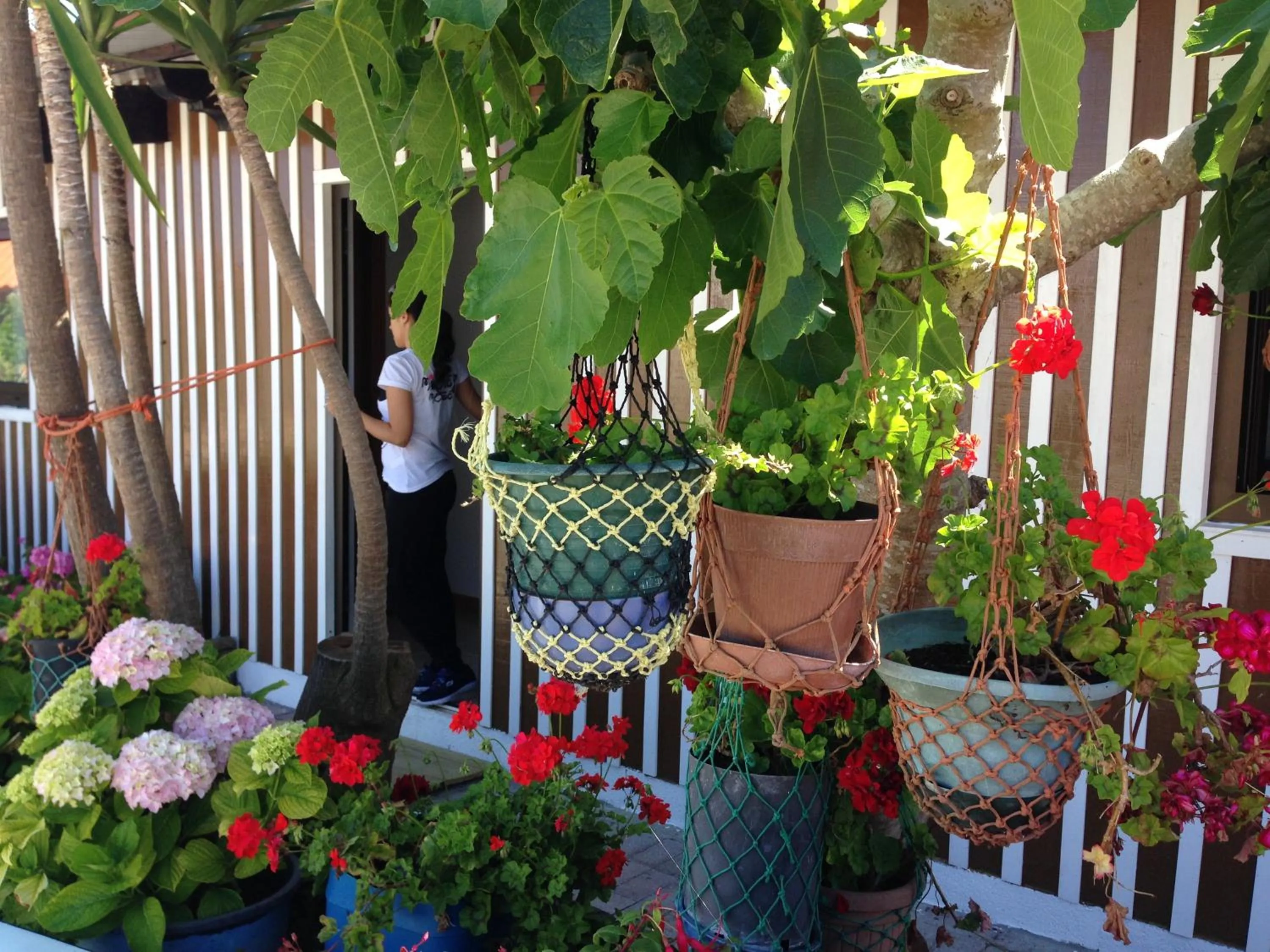 Garden in Palheiros de Mira
