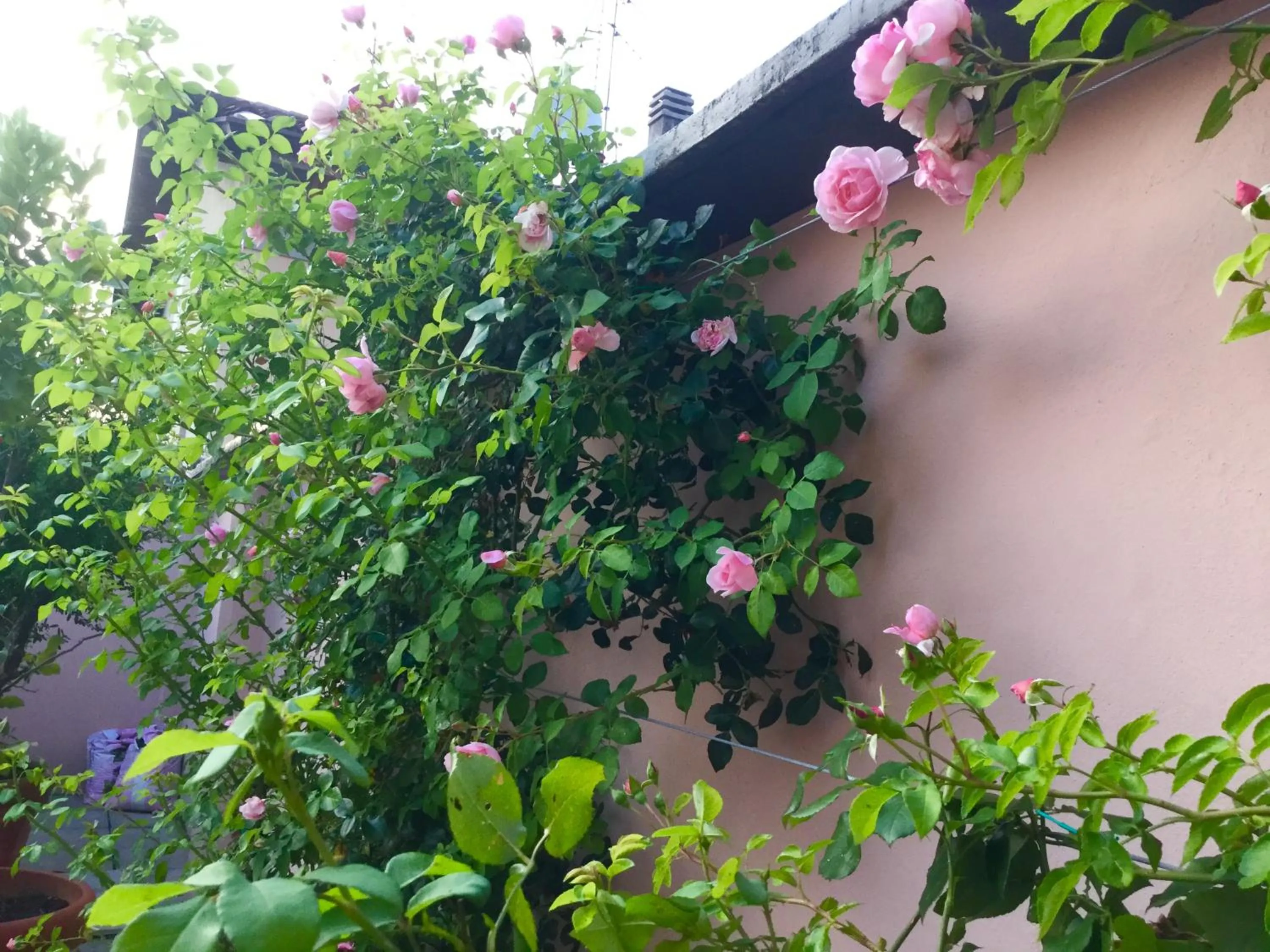 Spring in B&B Pescarenico