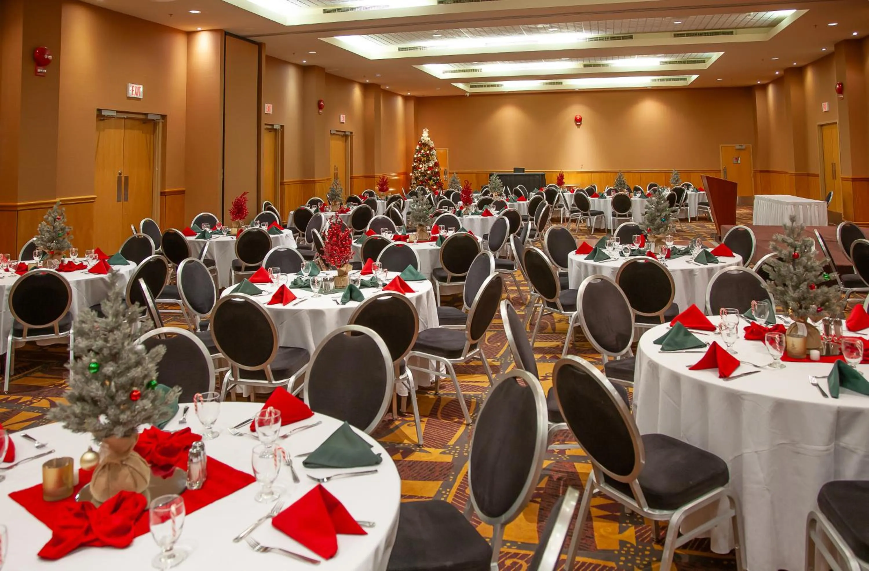 Banquet/Function facilities in iHOTEL & Conference Centre Red Deer