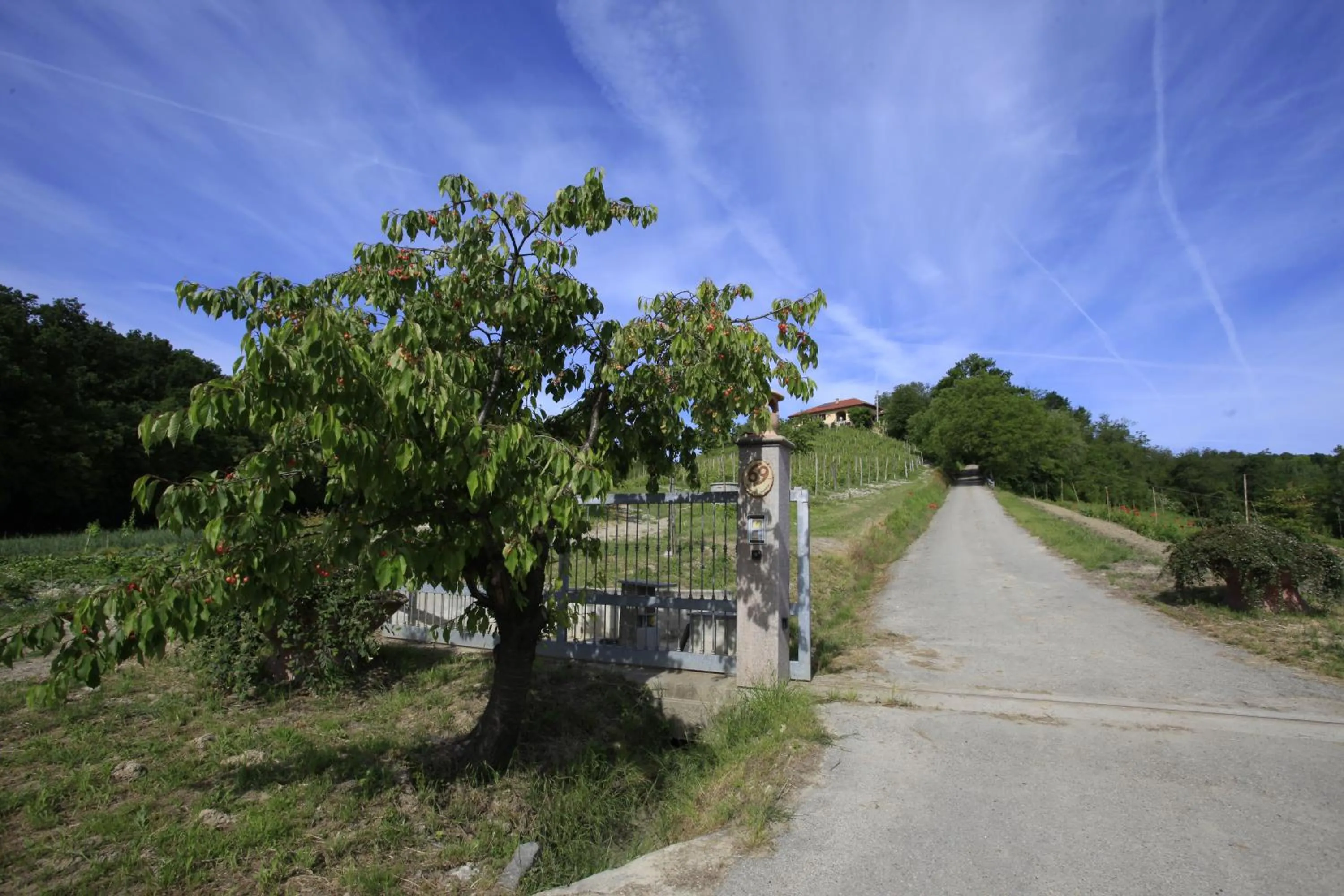 Property building in Al Canei B&B