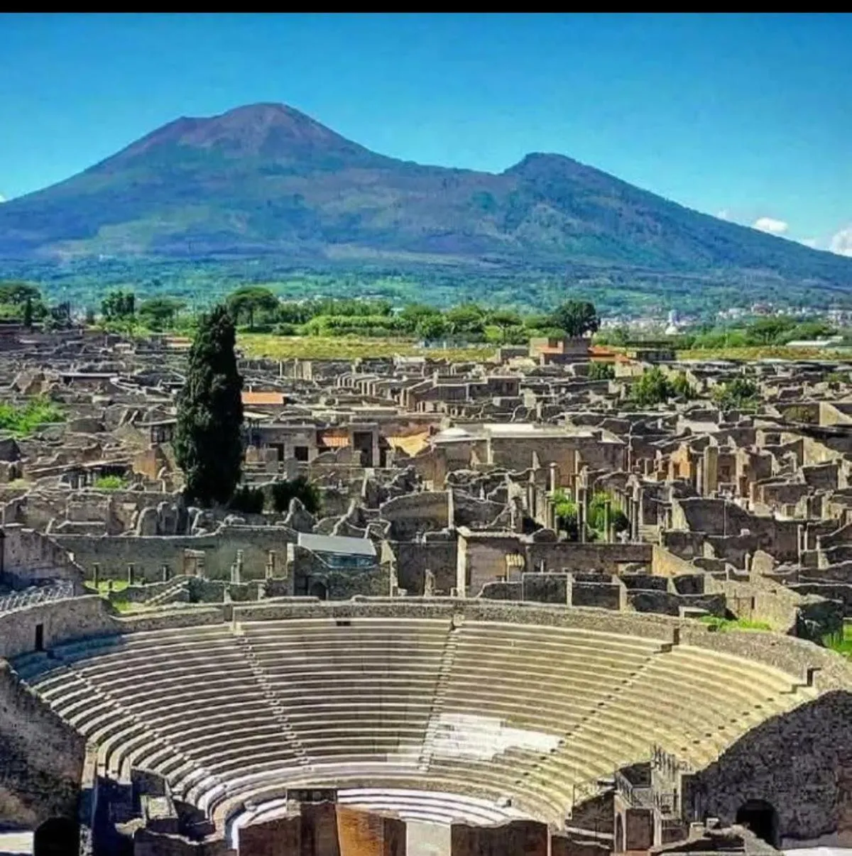 La Corte delle Vanità