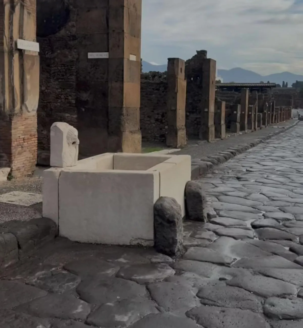 La Corte delle Vanità