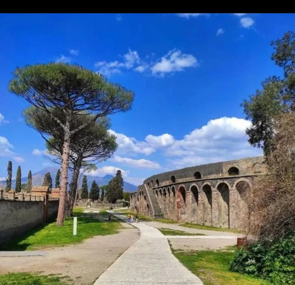 La Corte delle Vanità