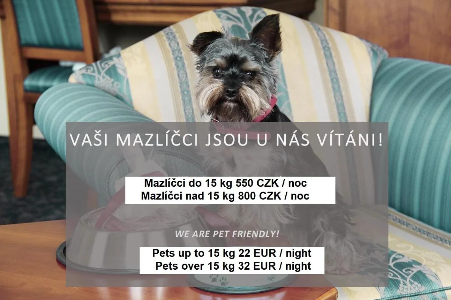 Animals in Hotel Ontario