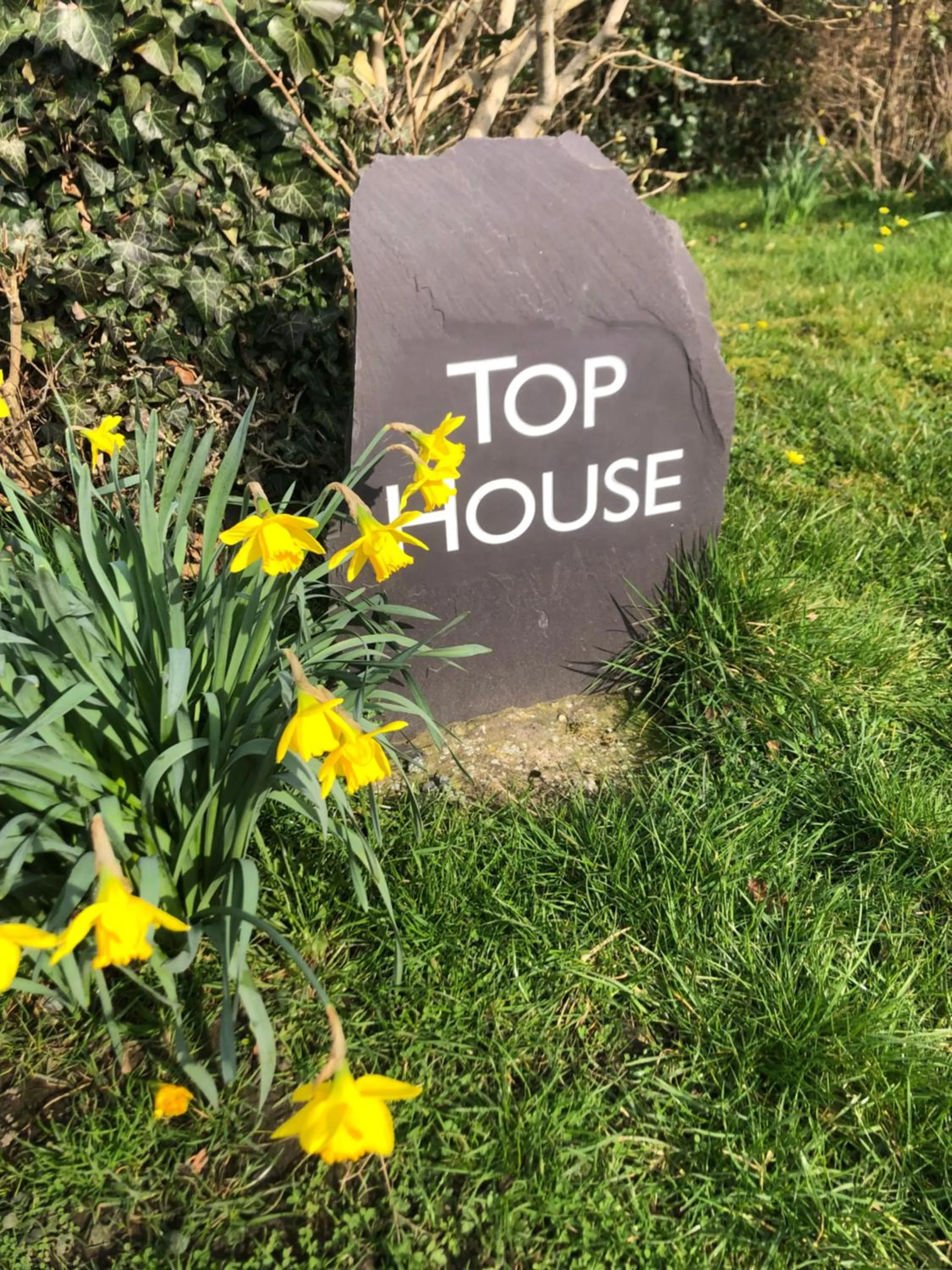 Top House
