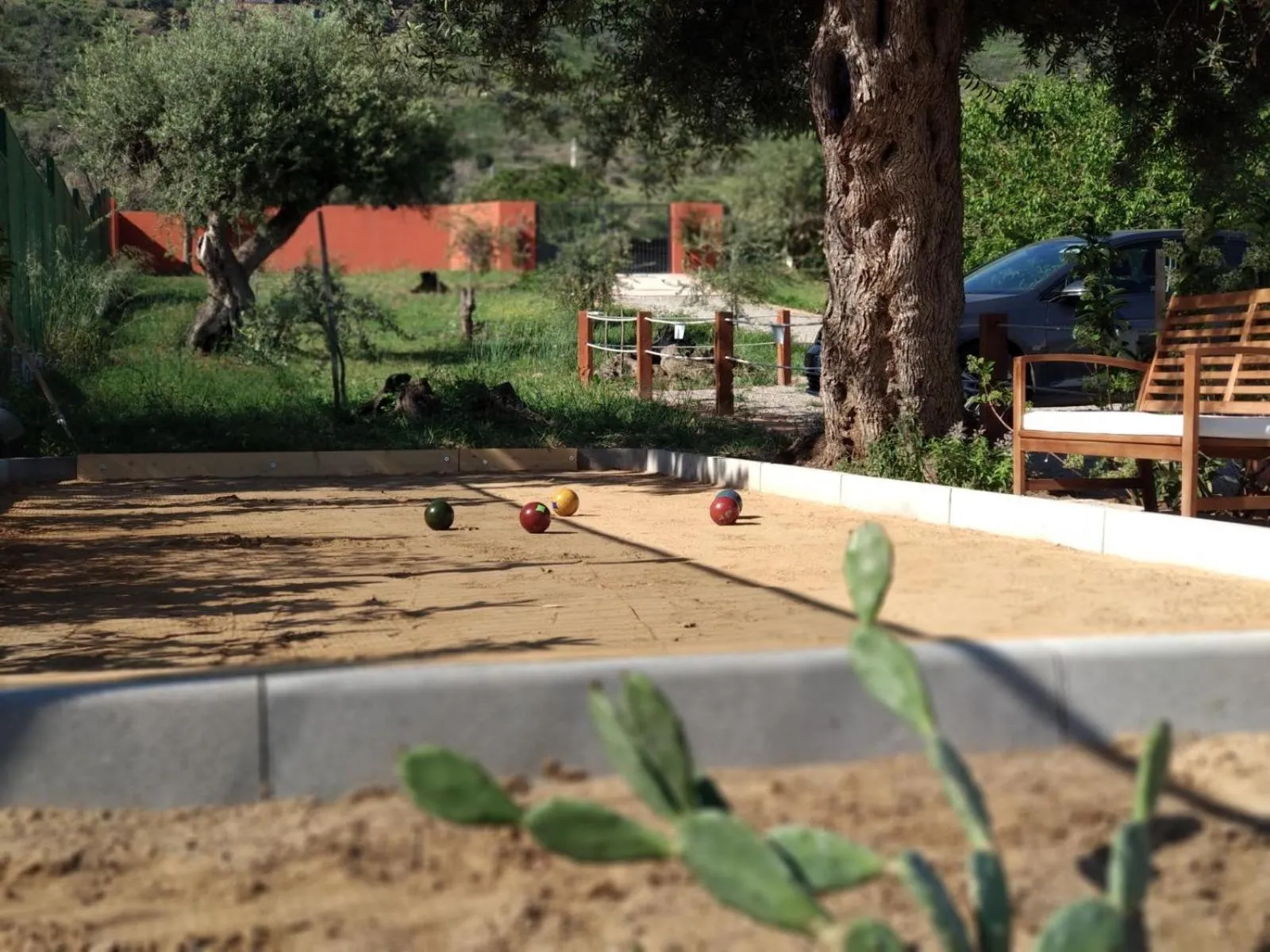 Activities in Il dono di Atena