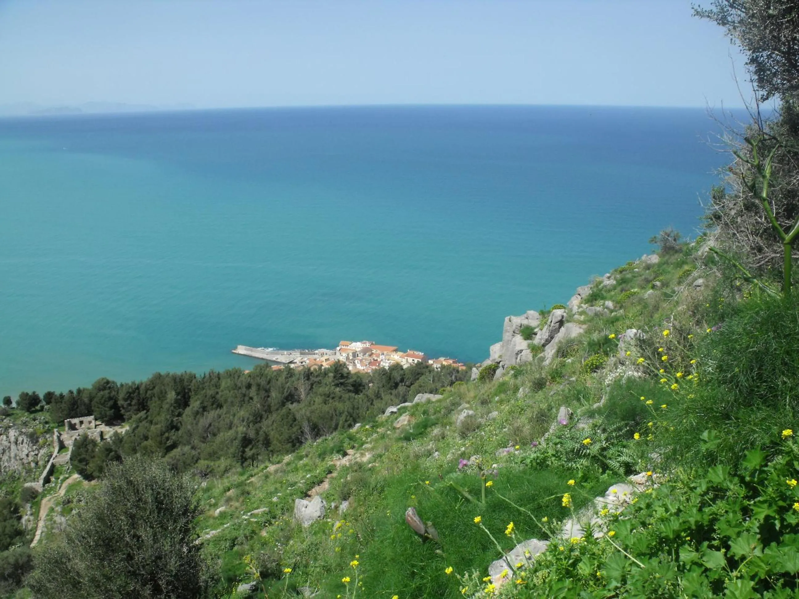 Natural landscape in Il dono di Atena