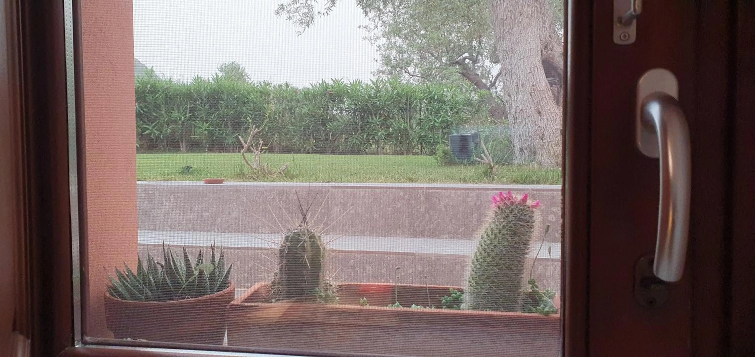 Garden view in Il dono di Atena