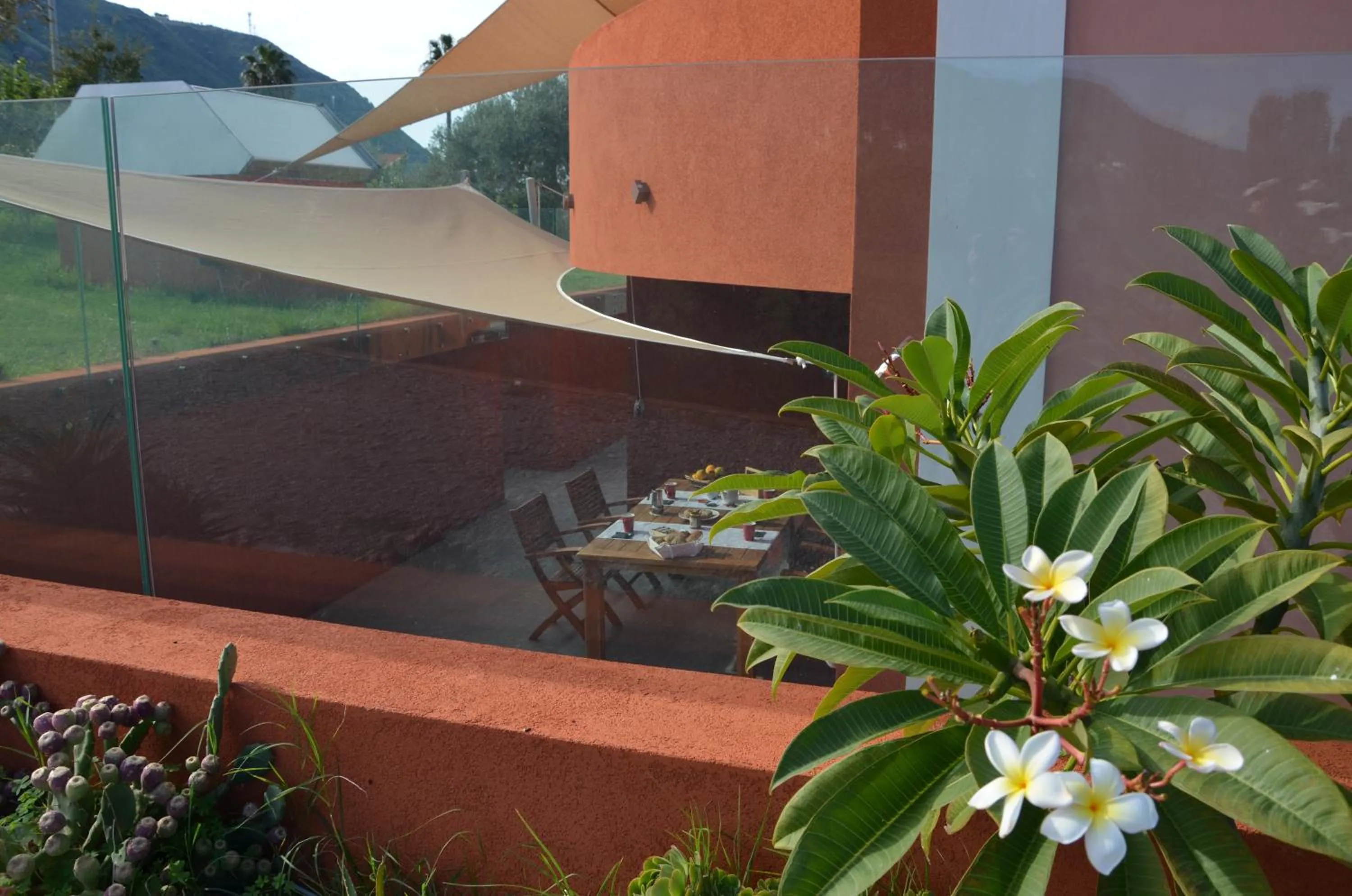 Patio in Il dono di Atena