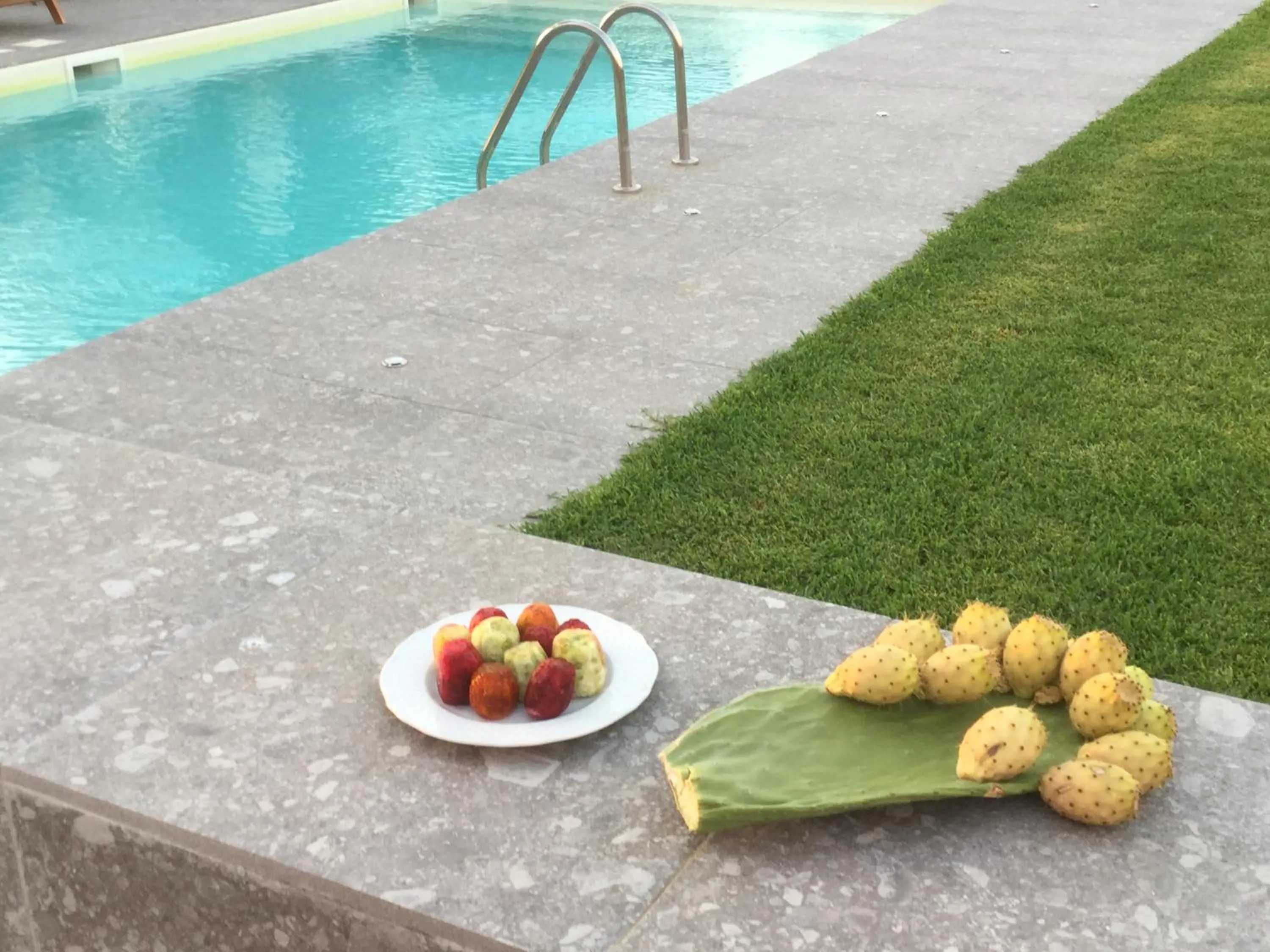 Food in Il dono di Atena