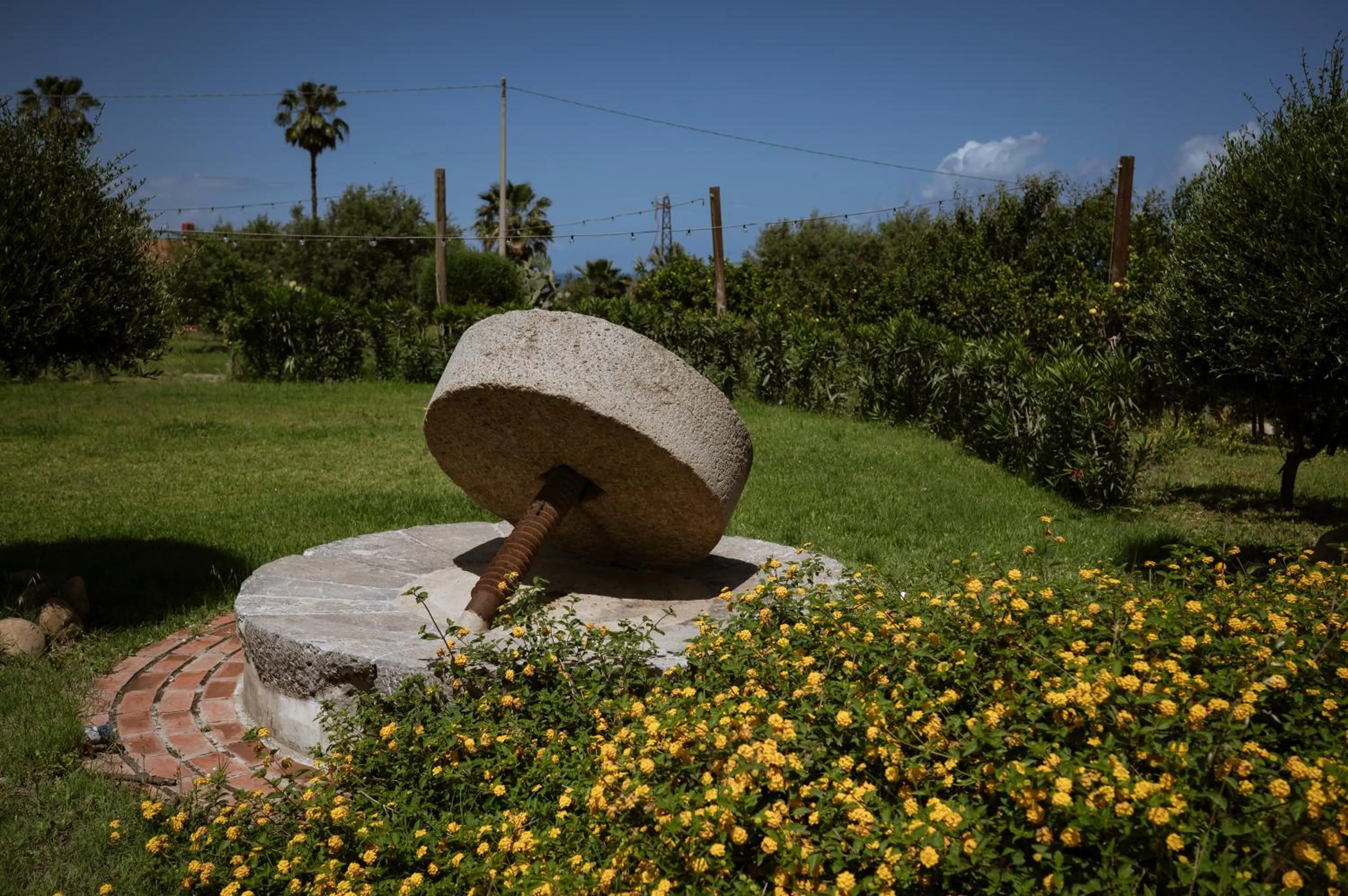Garden in Il dono di Atena