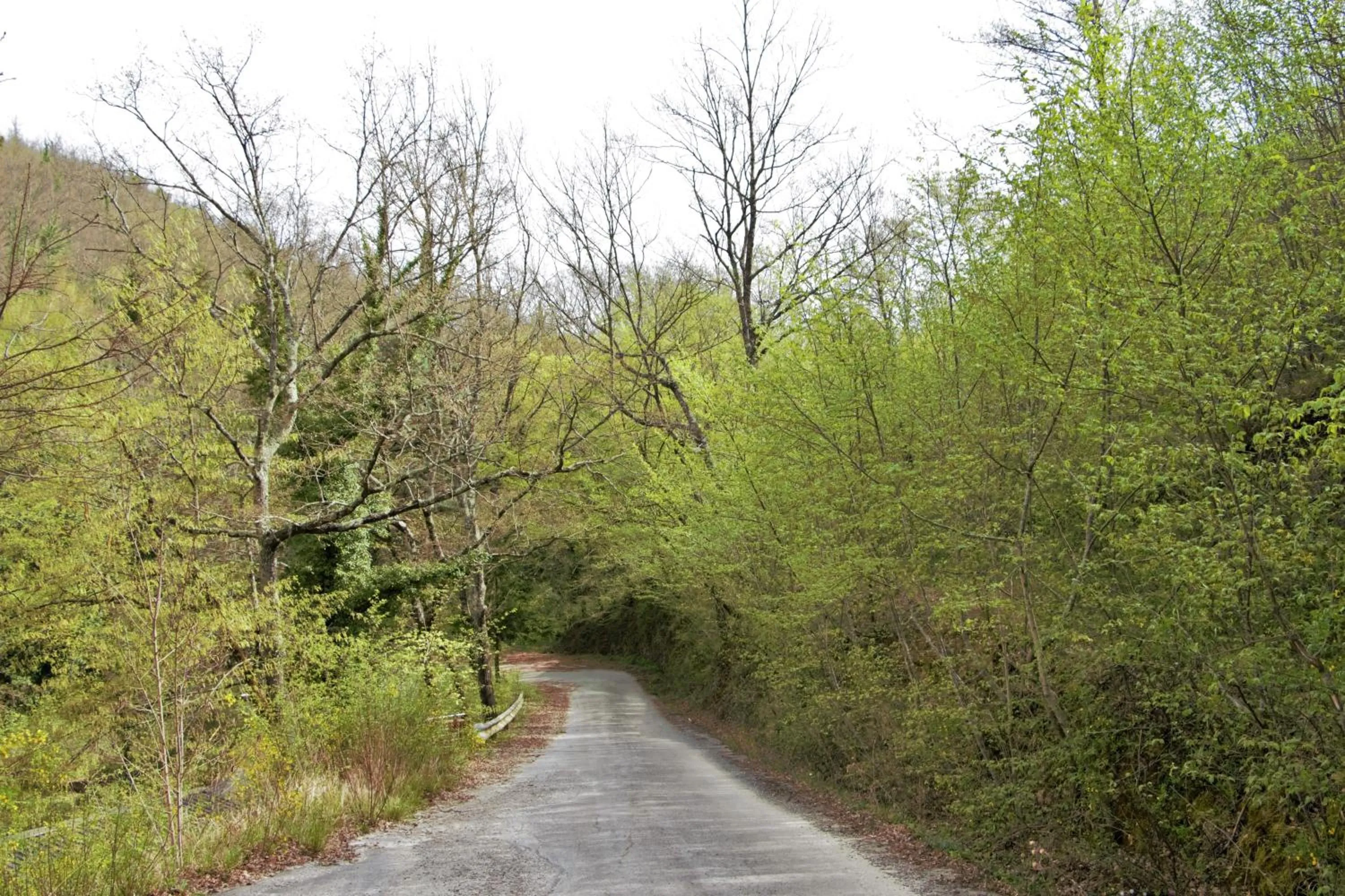 Natural landscape in Ostello La Miniera