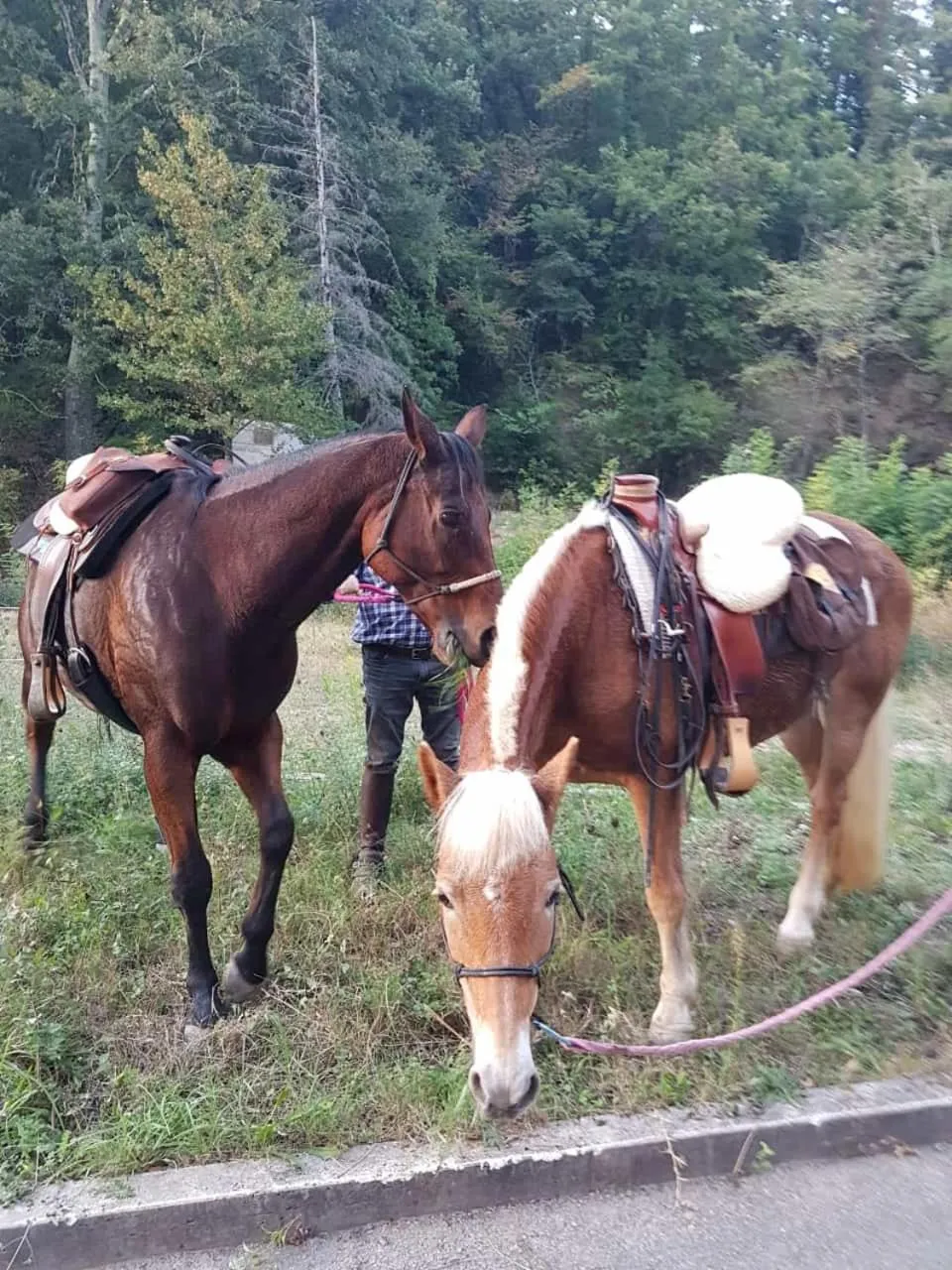 group of guests in Ostello La Miniera