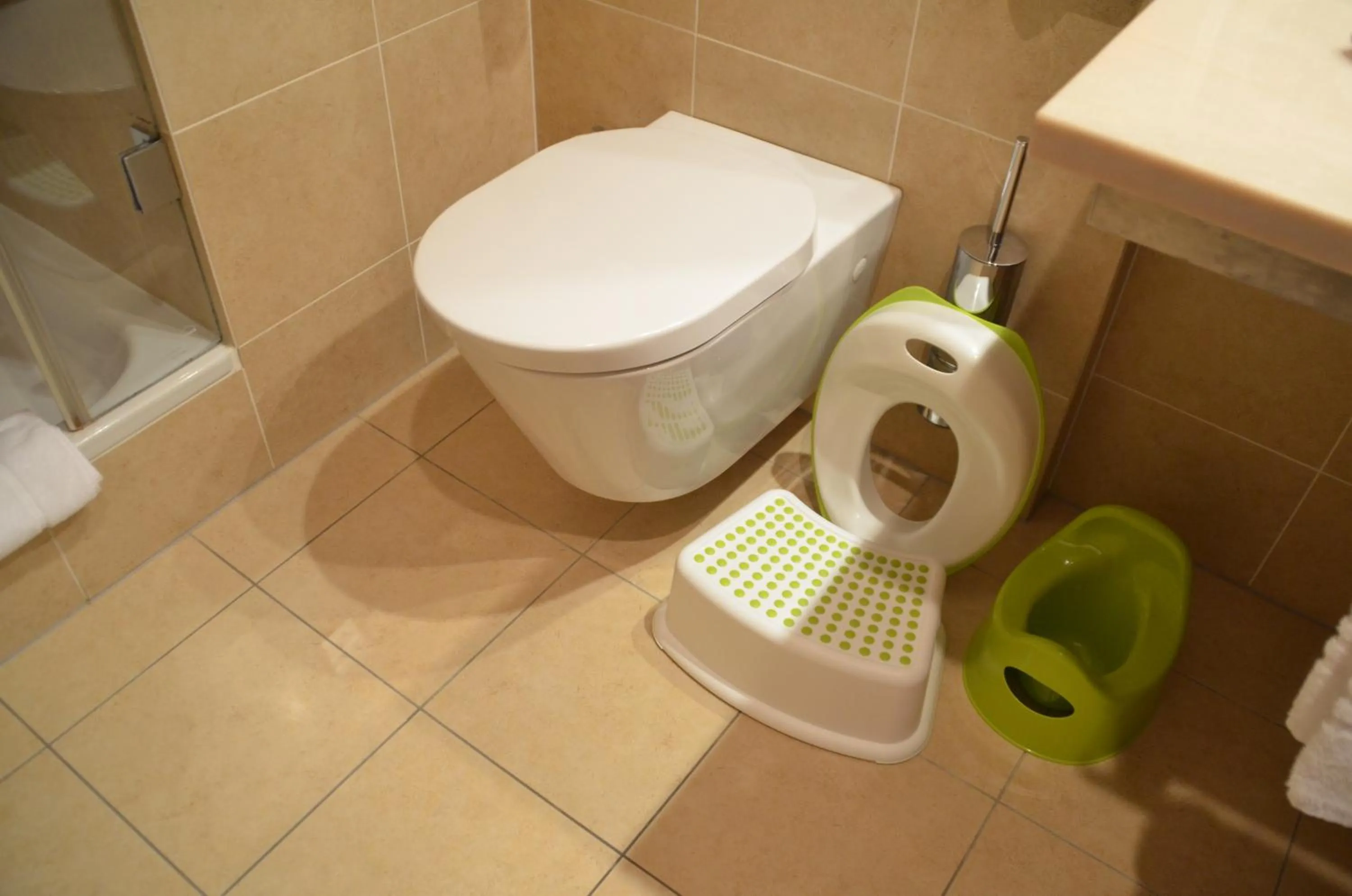 Toilet in Hotel Clement