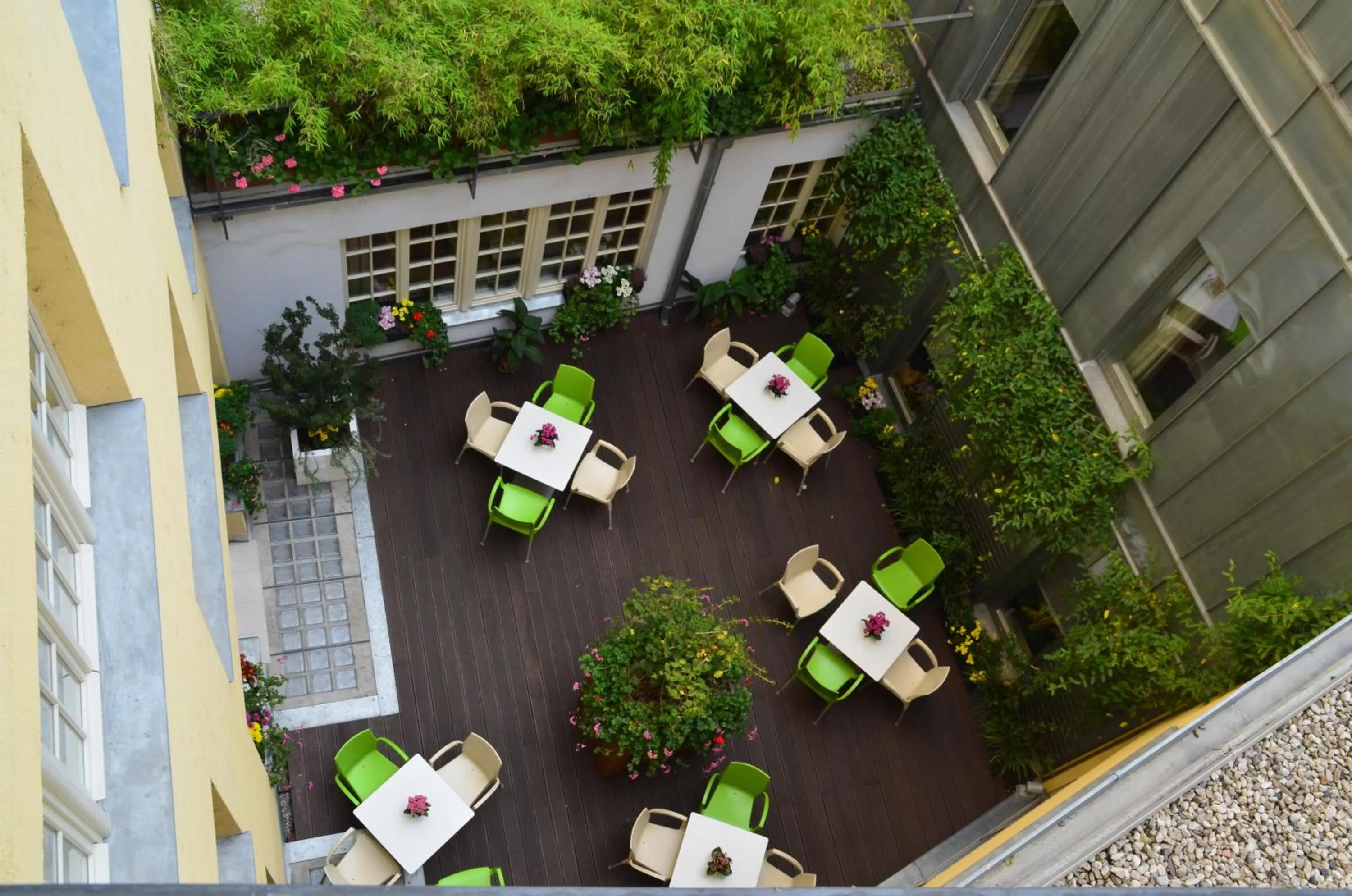 Garden in Hotel Clement