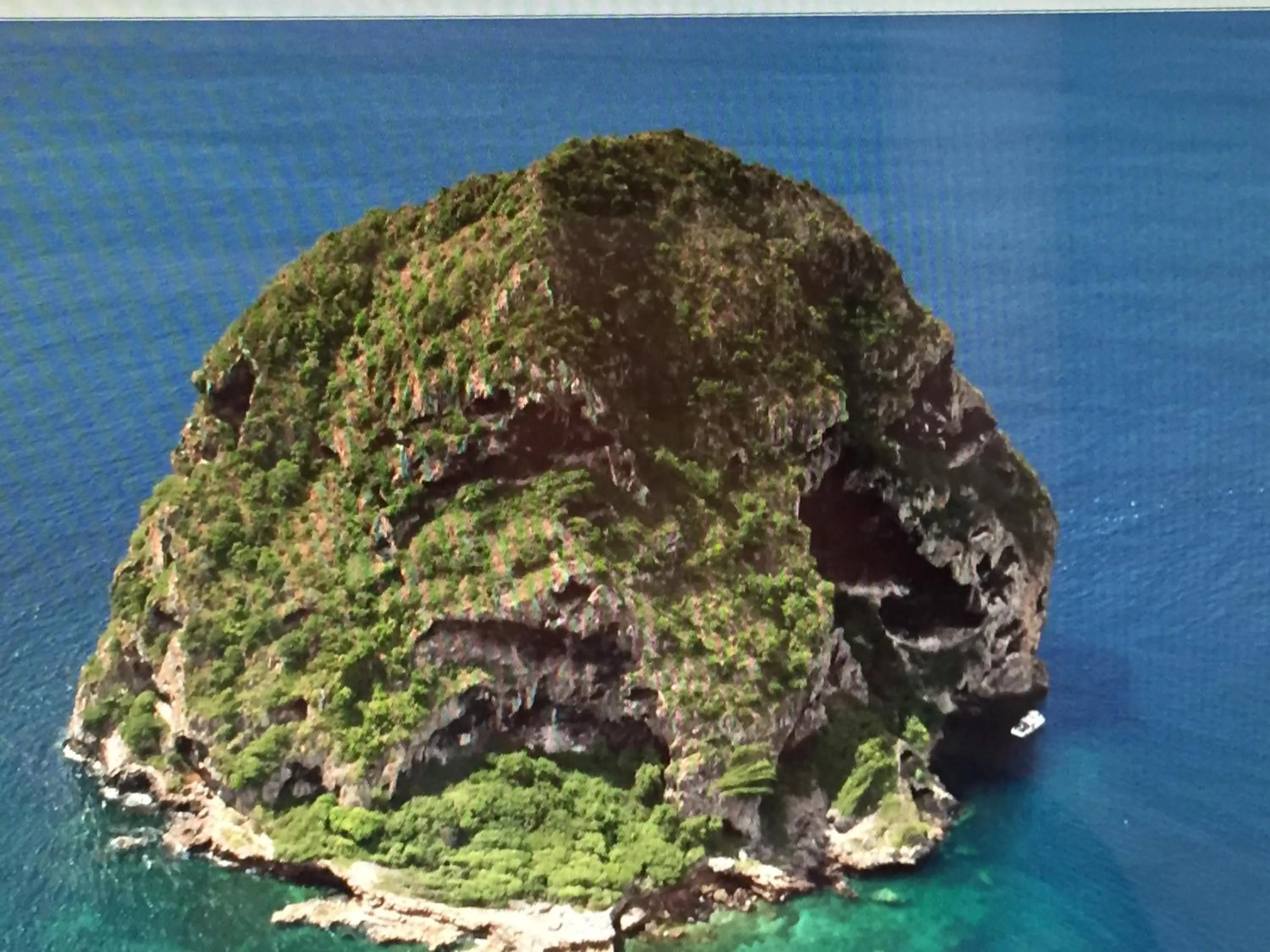 Natural landscape in TI PARADIS DE l'ANSE FIGUIER VILLA voir site vacances en martinique