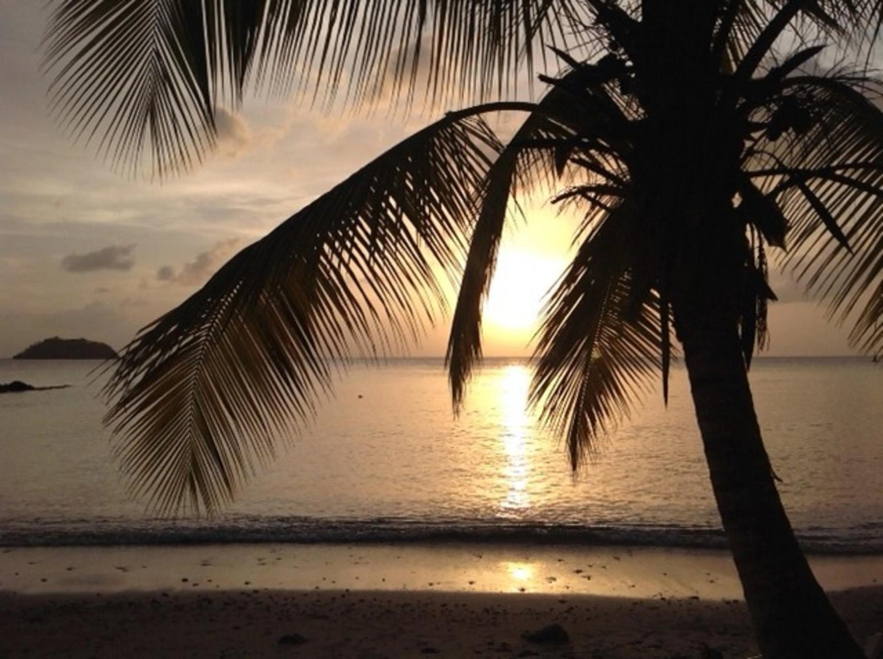 Sea view in TI PARADIS DE l'ANSE FIGUIER VILLA voir site vacances en martinique