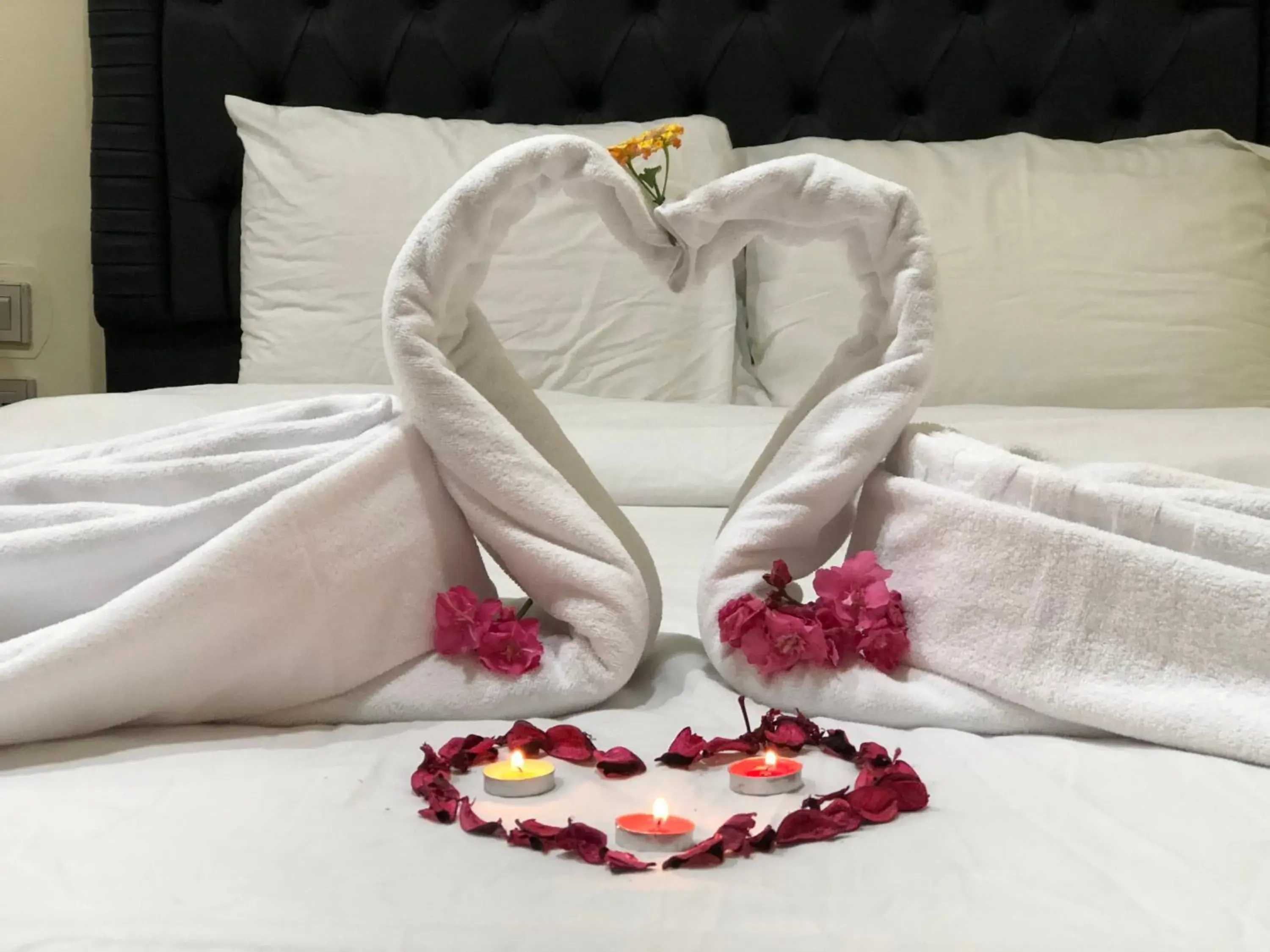 Bed in Best View Pyramids Hotel Bed in Best View Pyramids Hotel