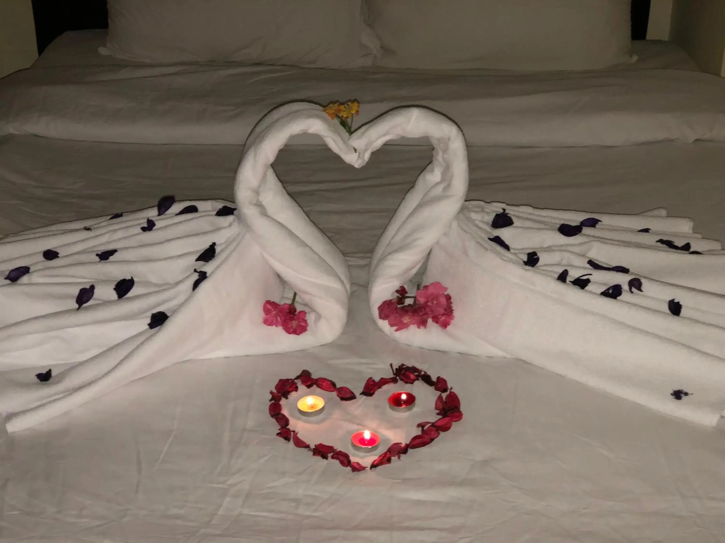 Bed in Best View Pyramids Hotel Bed in Best View Pyramids Hotel