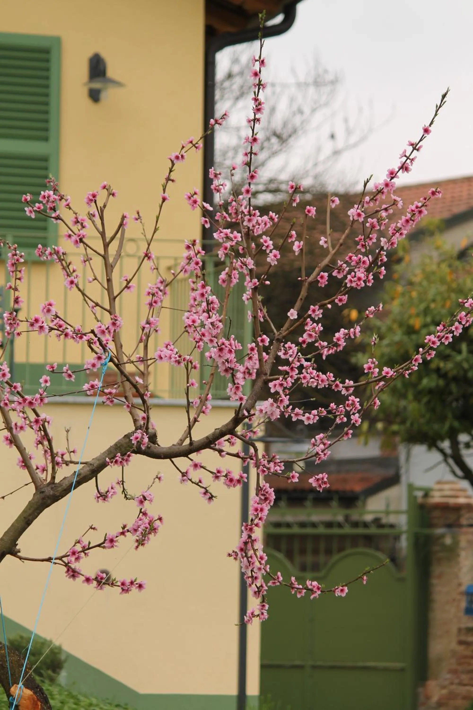 Spring in LA CUCCAGNA DI DON BOSCO - No landlords and neighbours - Absolute privacy!
