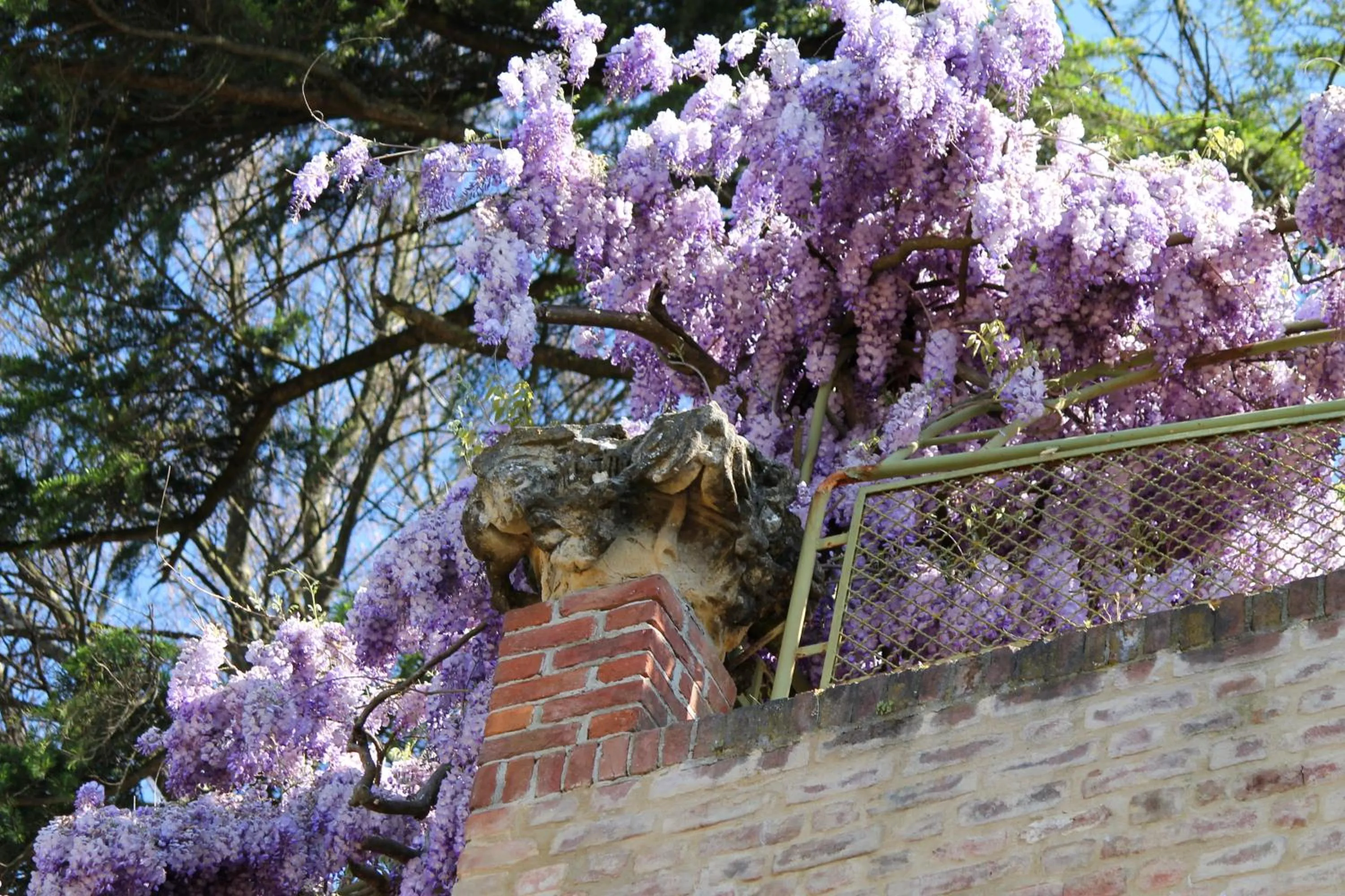 Spring in LA CUCCAGNA DI DON BOSCO - No landlords and neighbours - Absolute privacy!