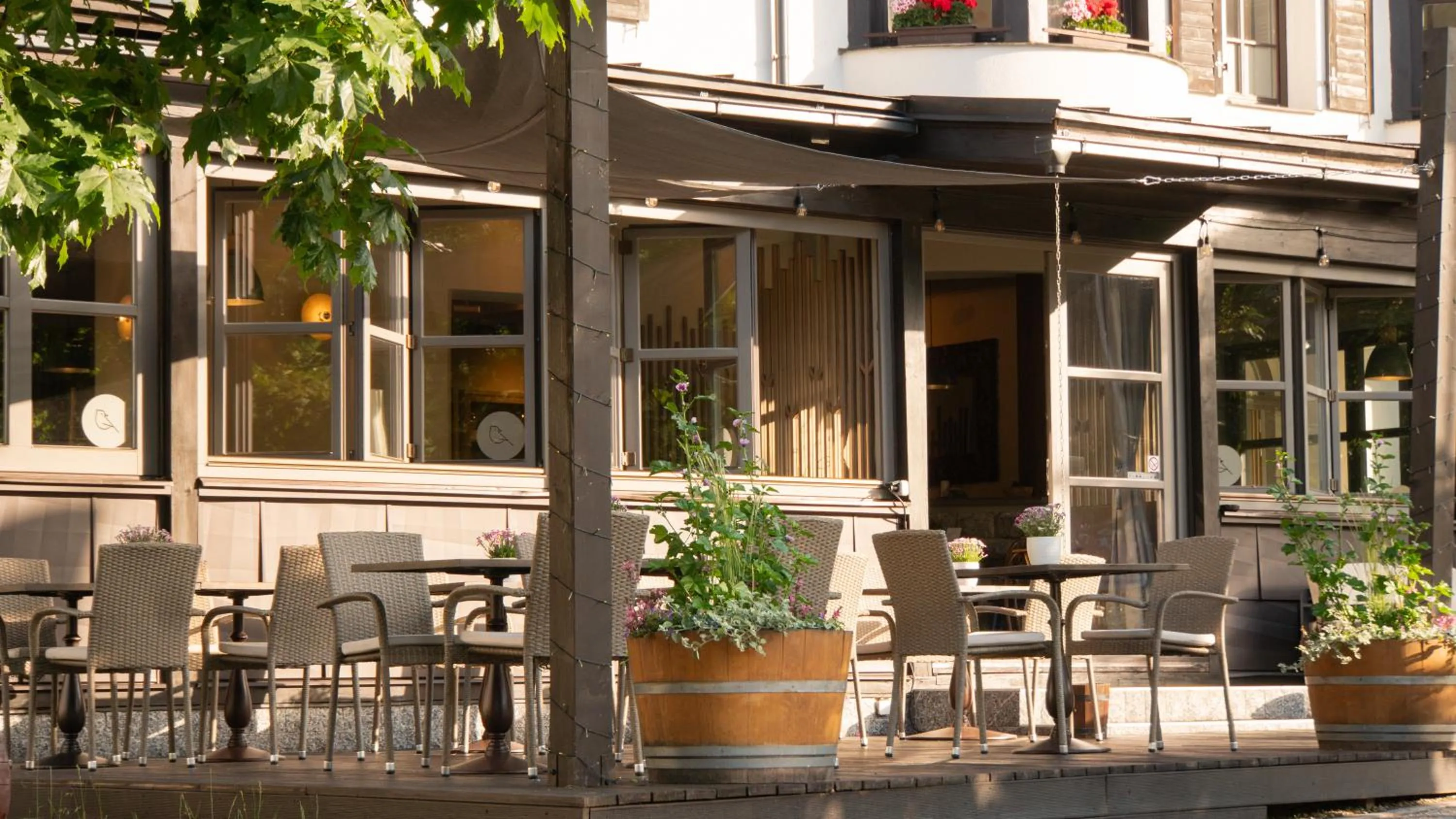 Restaurant/places to eat in Boutique Hotel Soyka