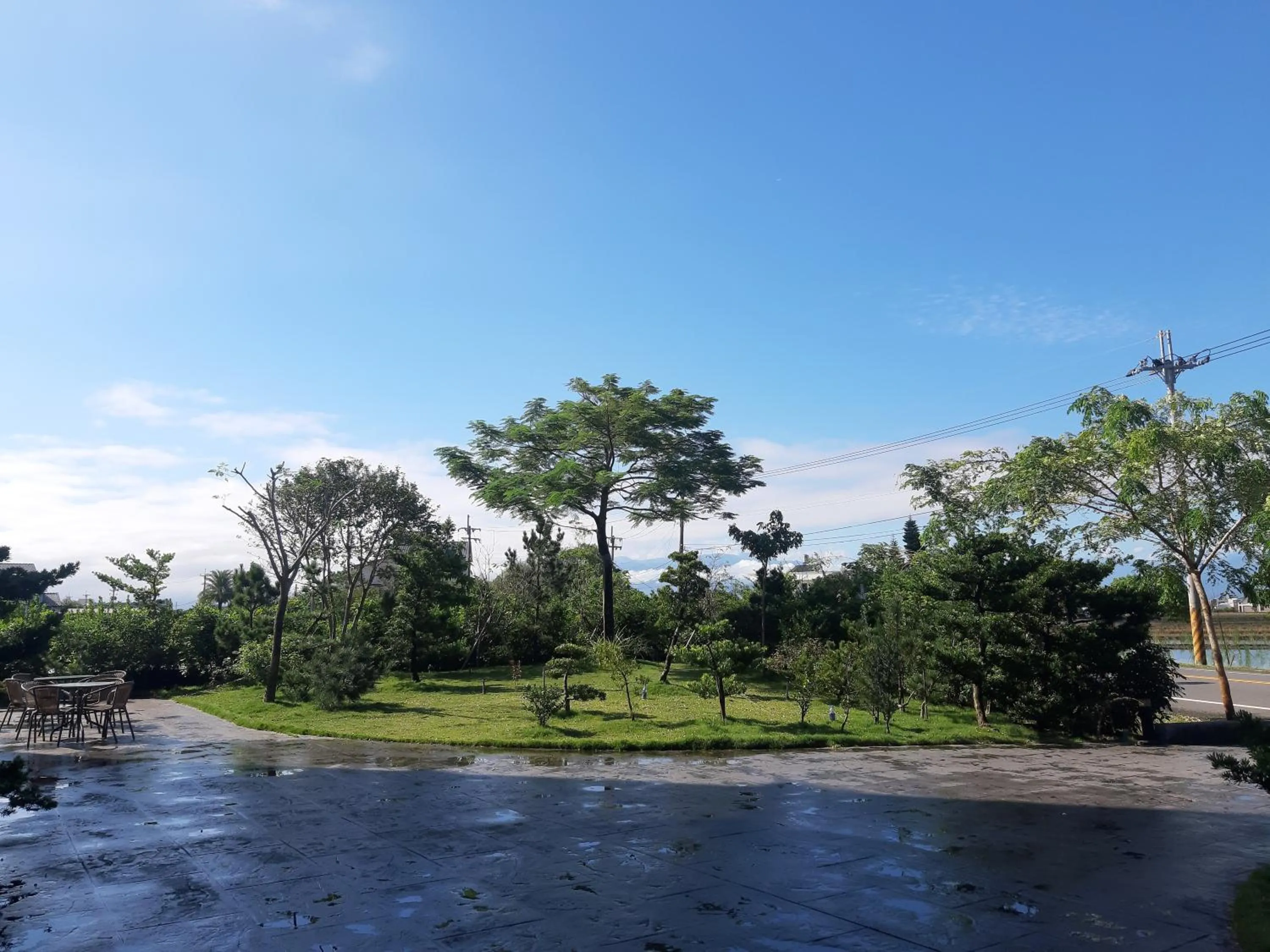 Garden in Colorful Fish Cottage